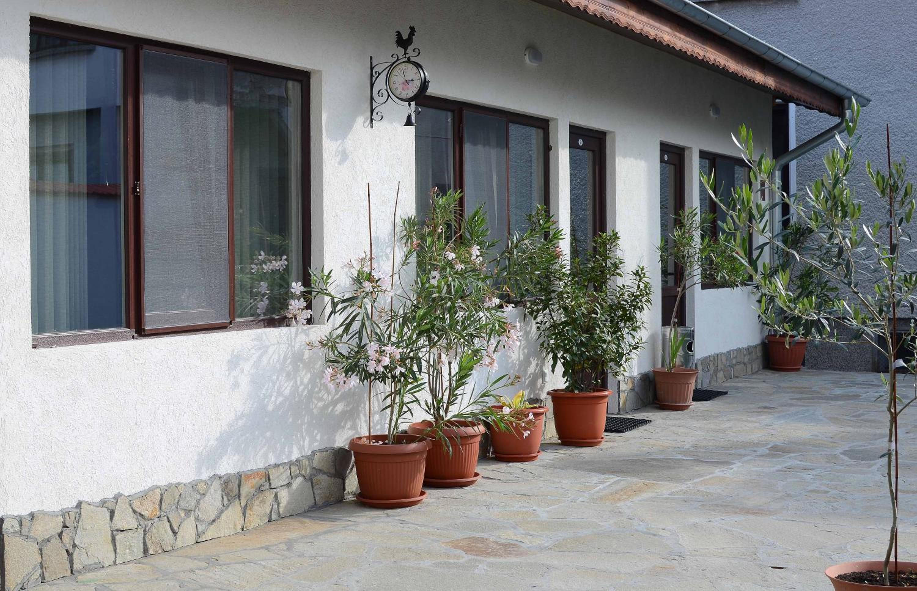 Guest House Dar