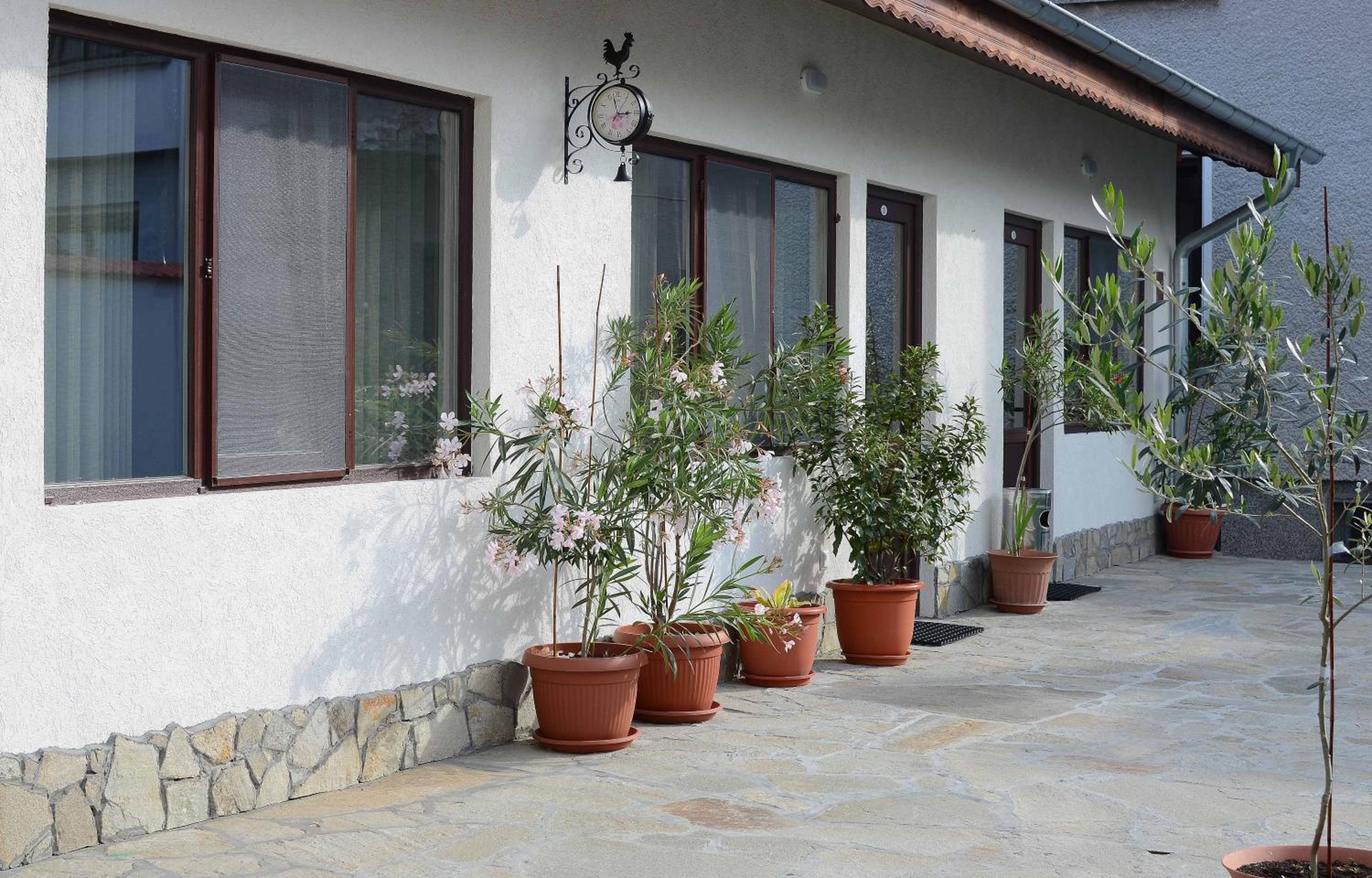 Guest House Dar