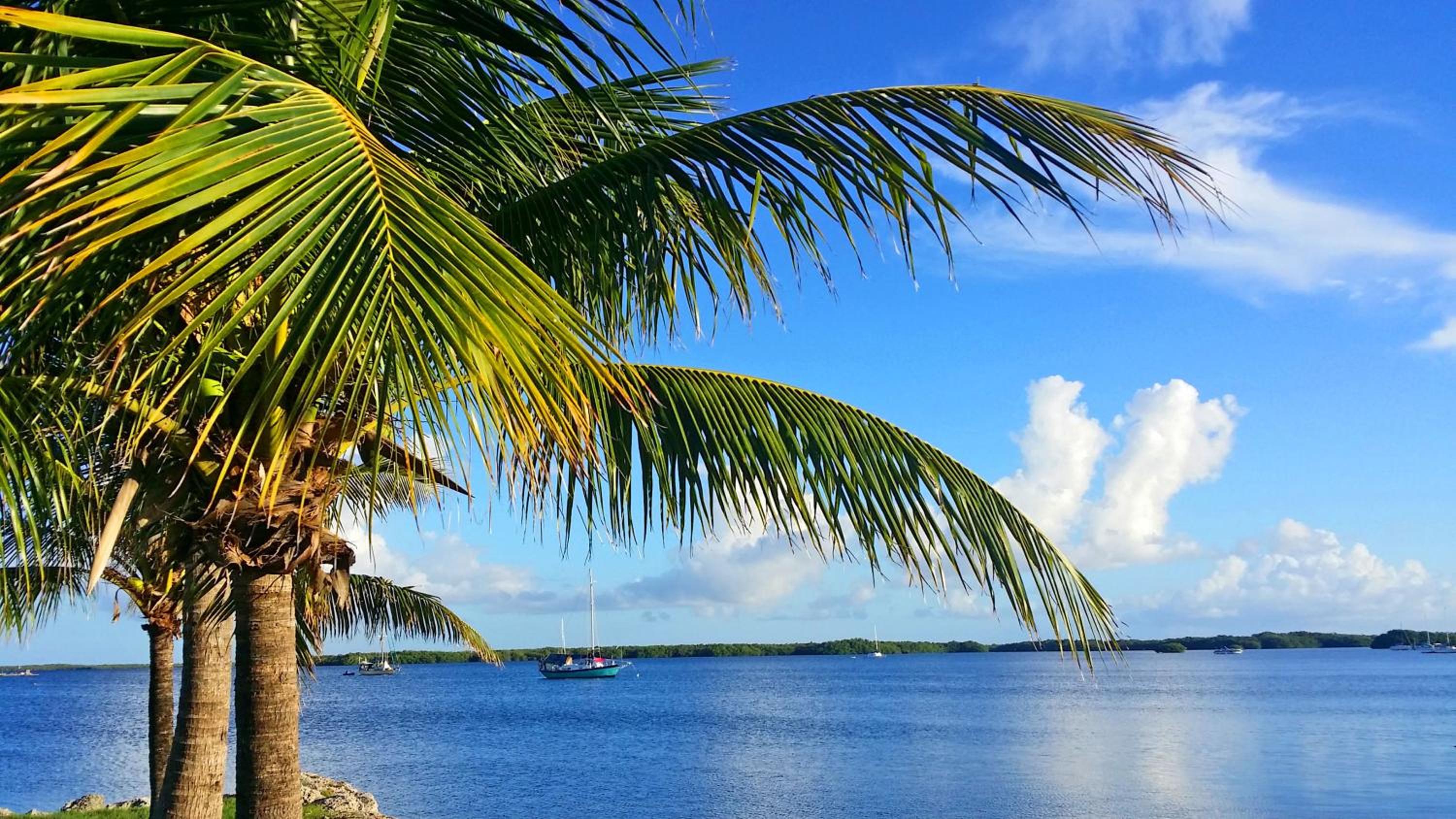 Dolphin Point Villas
