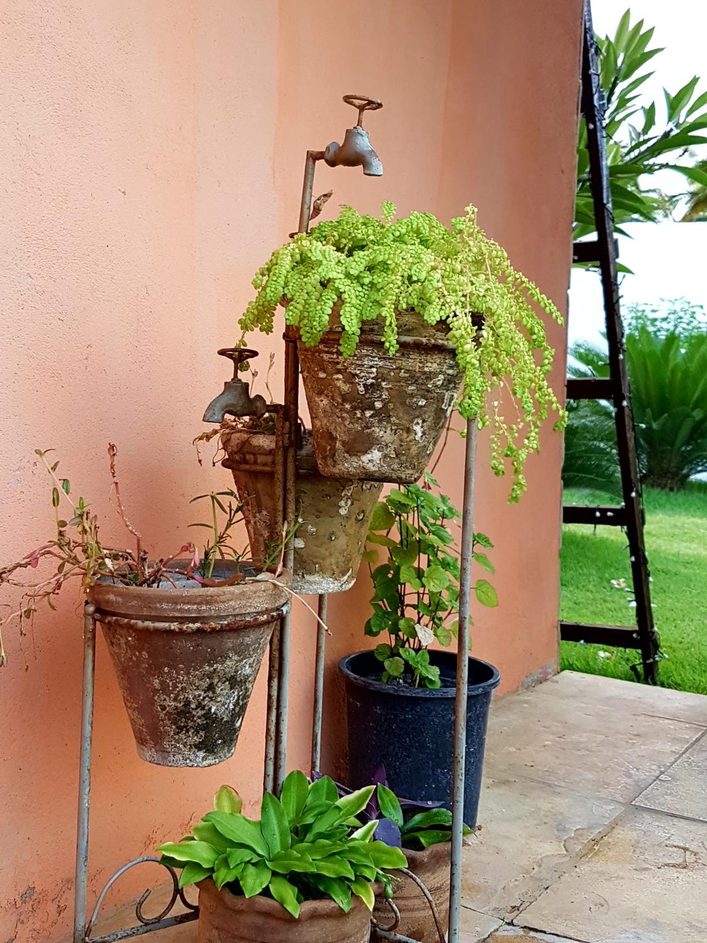 Casa Dos Patos