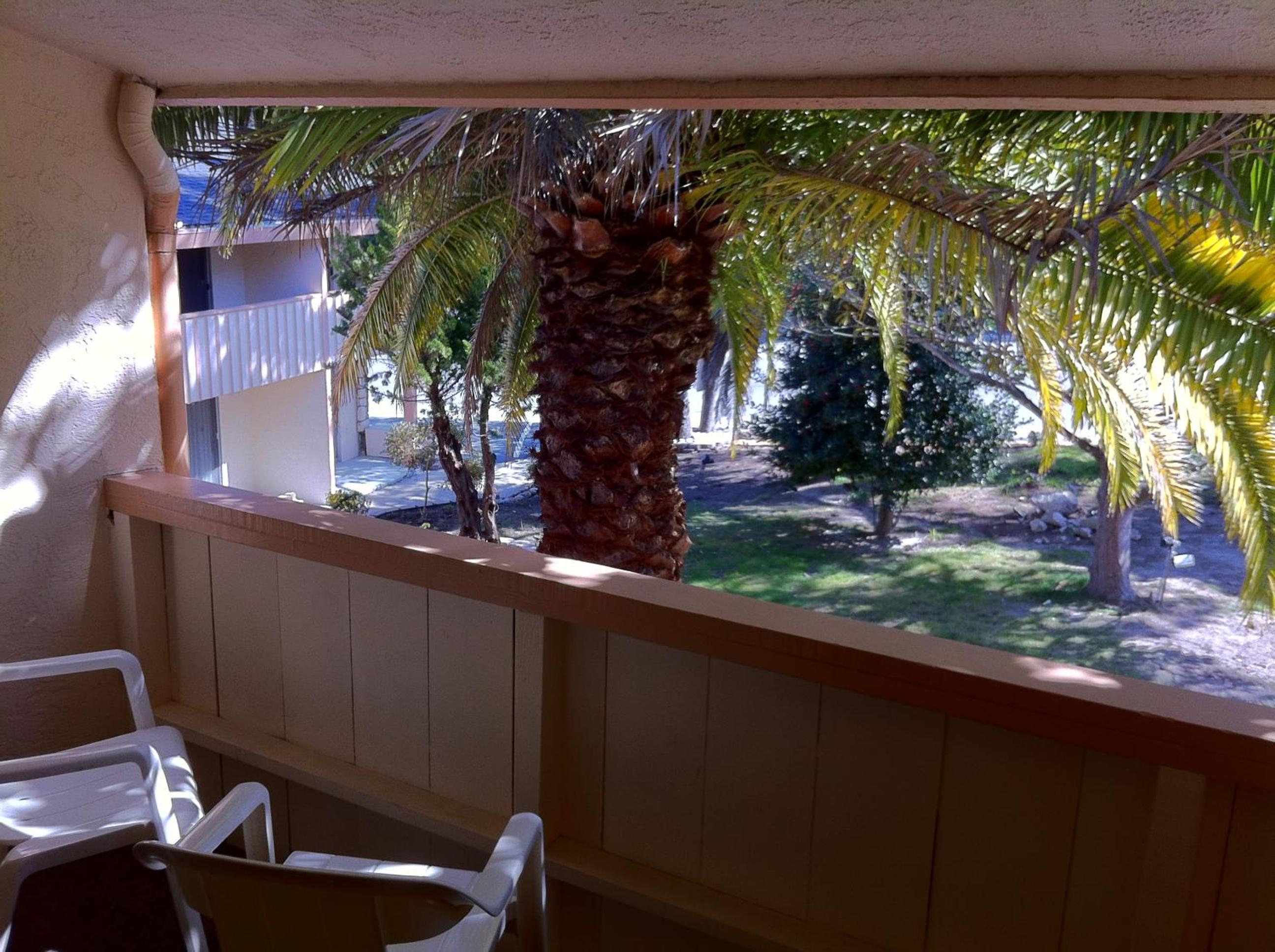 Monterey Vacations - Americas Best Value Presidents Inn on Munras - Property Image 13