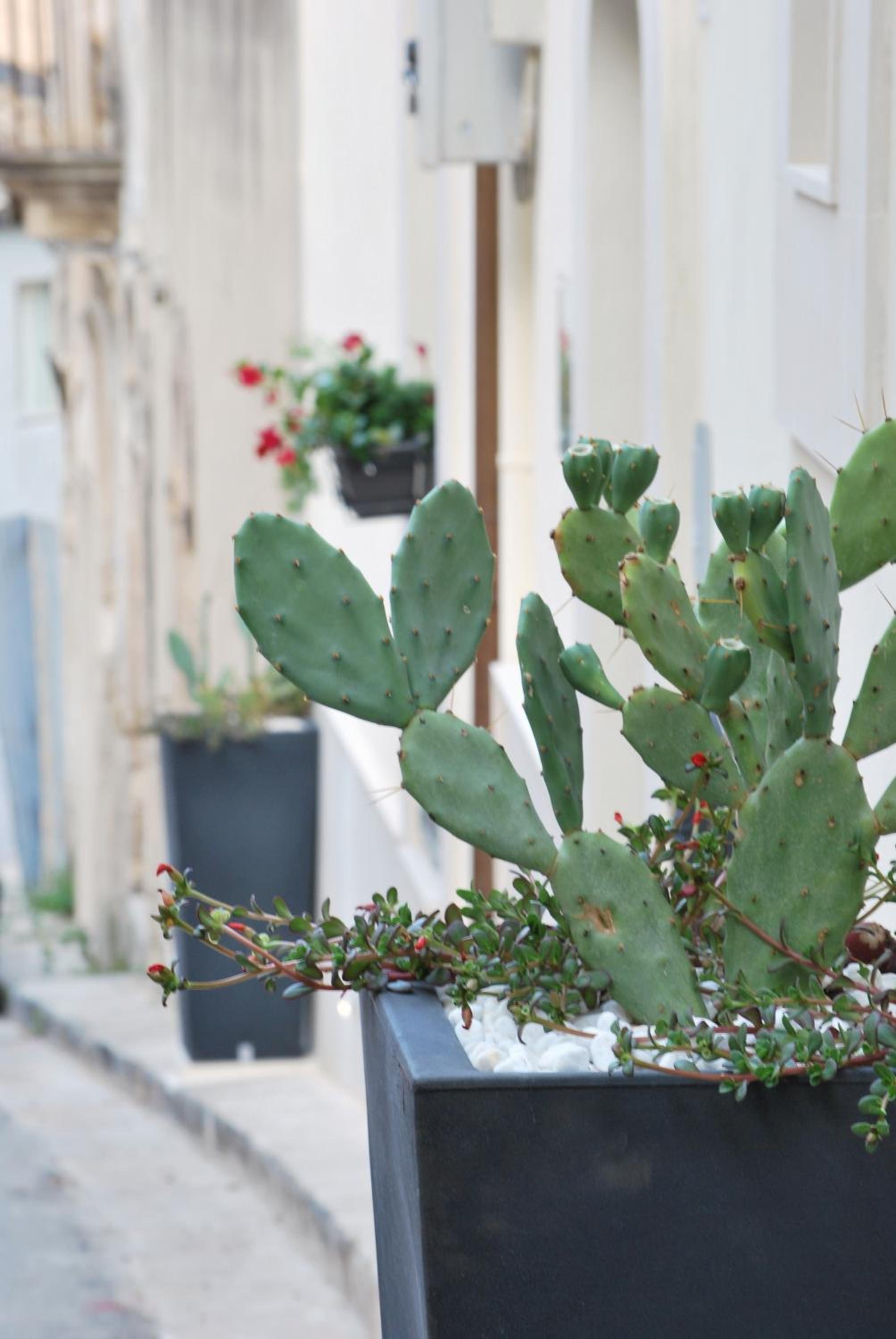 A Casa Di Grazia