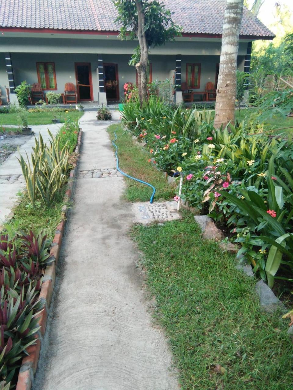 Sawe Homestay view 3