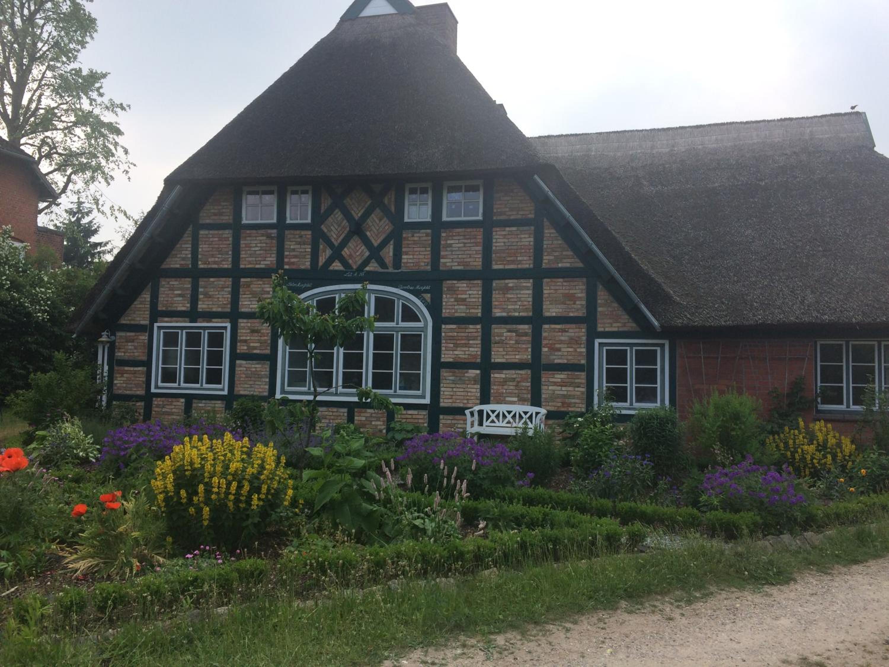 Apartment Reetblick