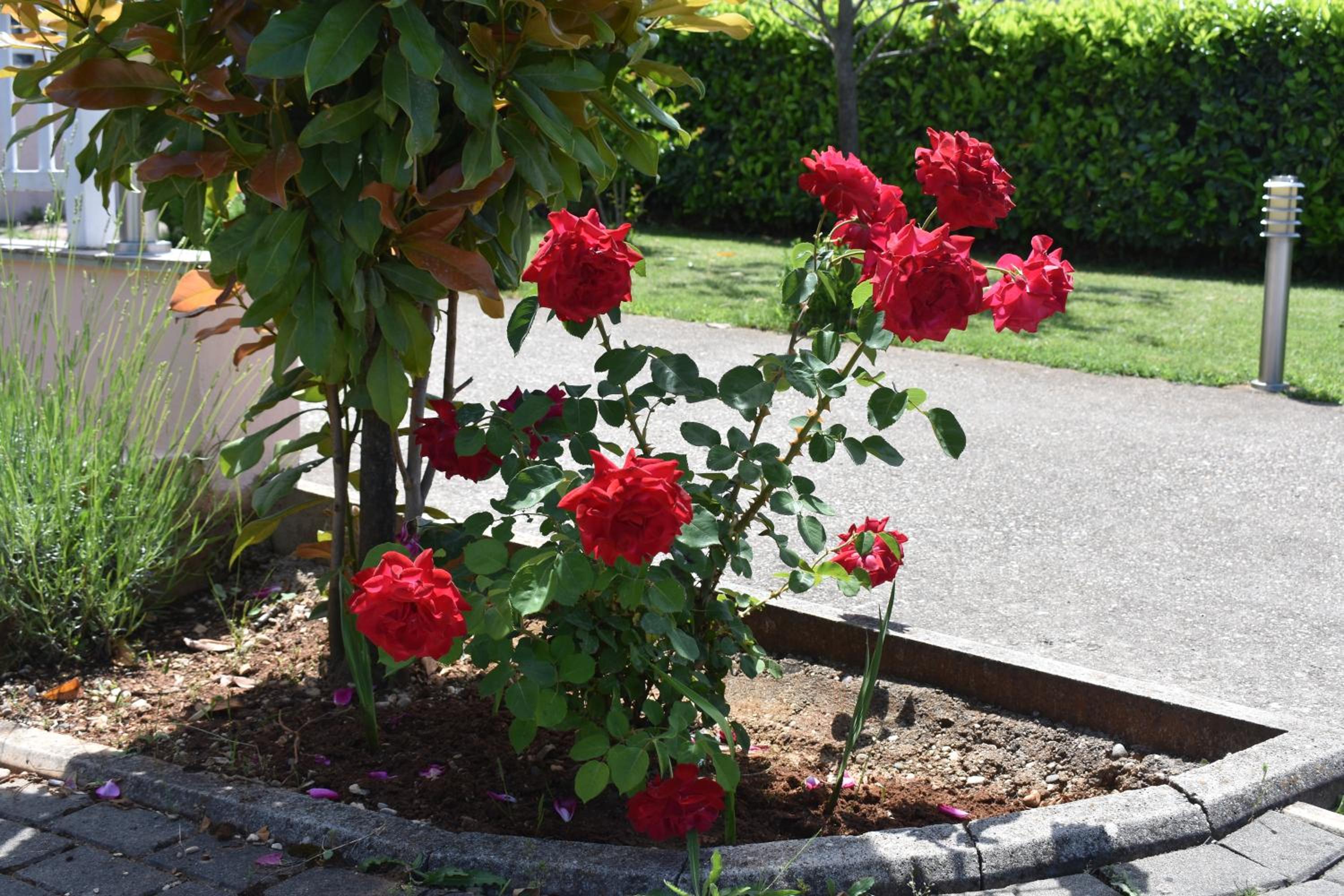Guest House Regina Mundi