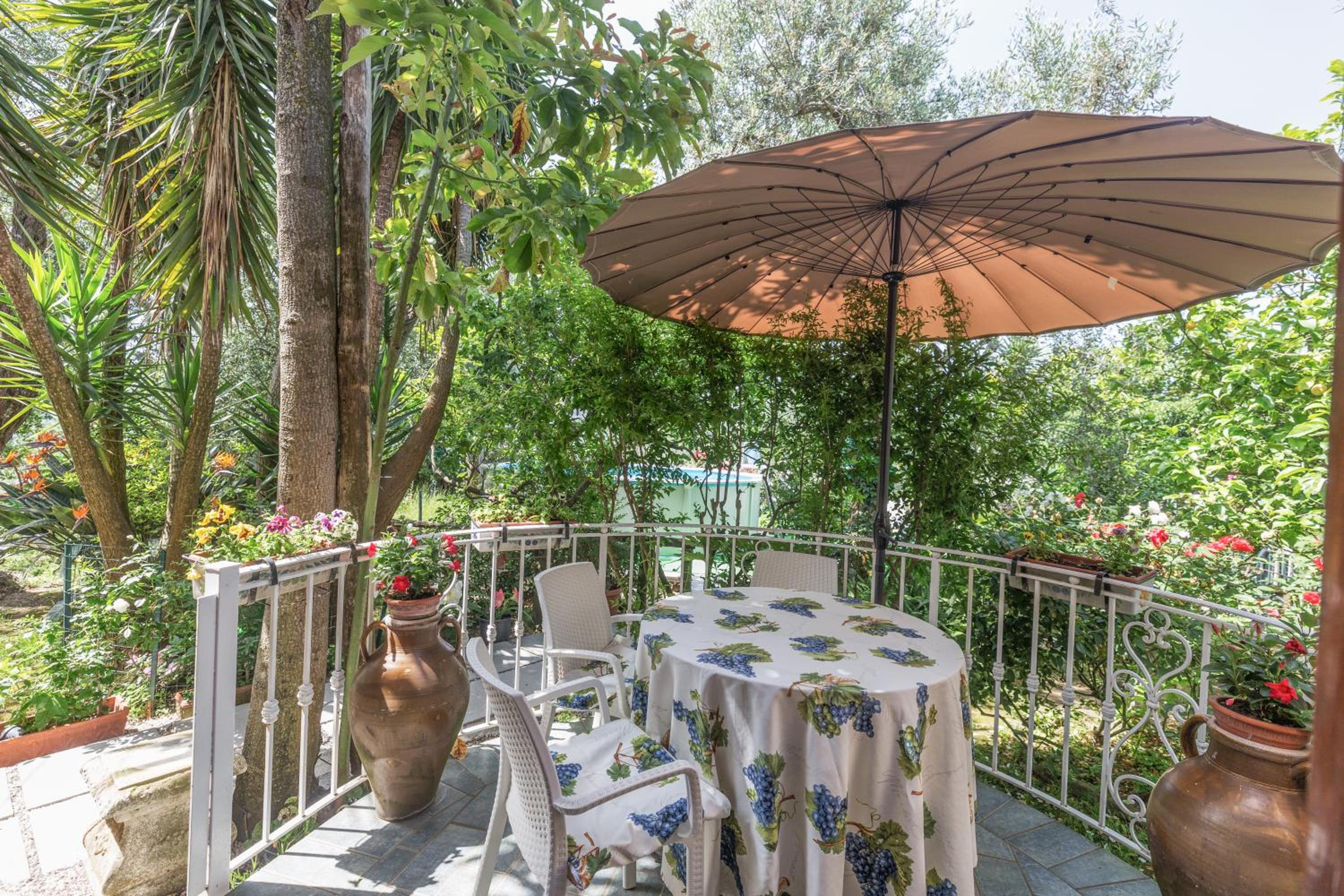 Raggio di Sole photo 2