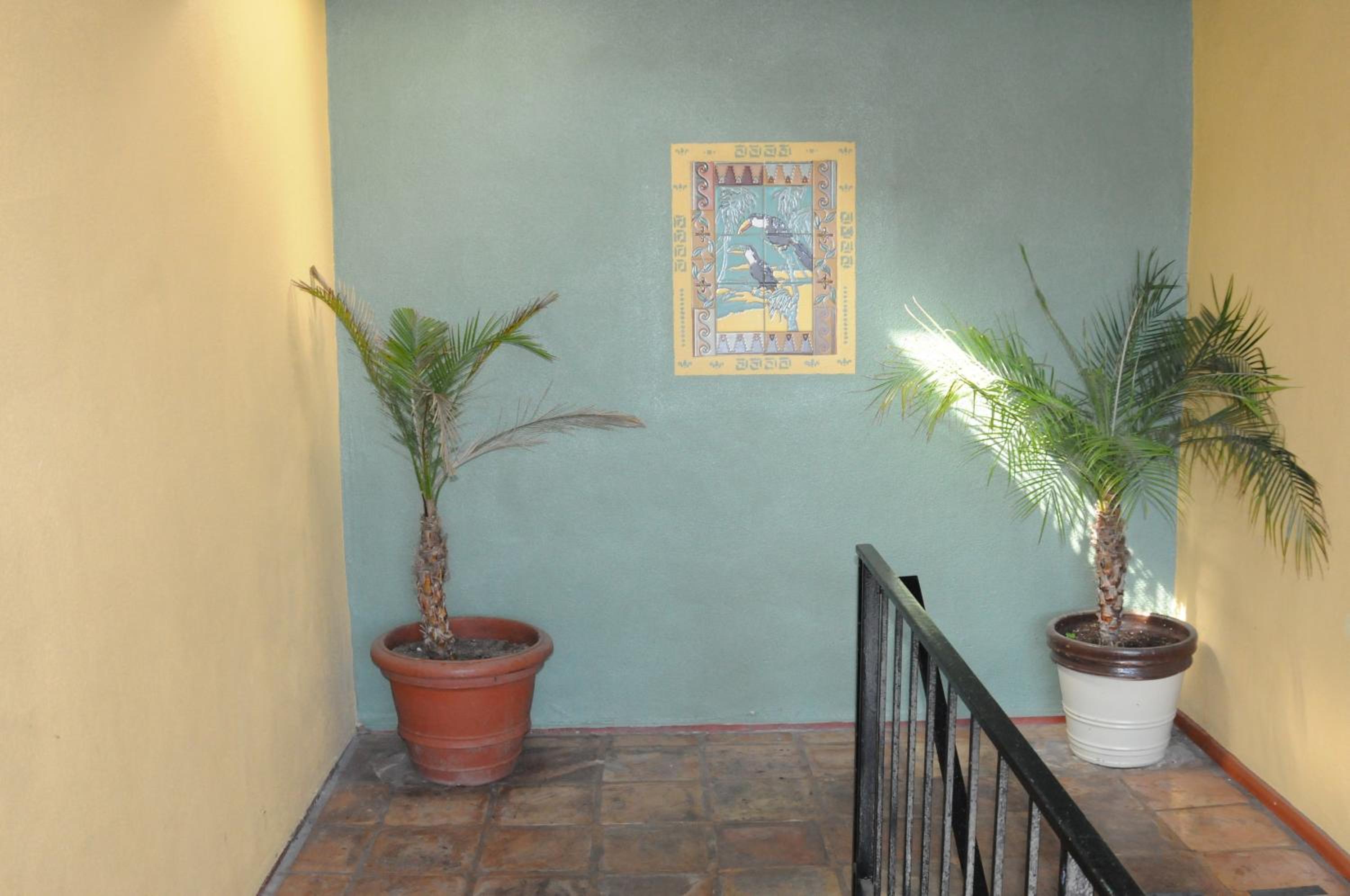 Photo 37