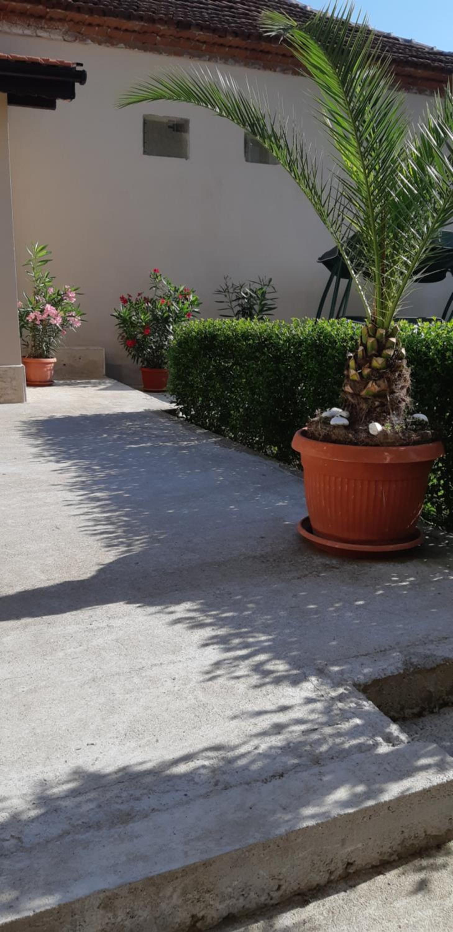 Villa Ros Guest House