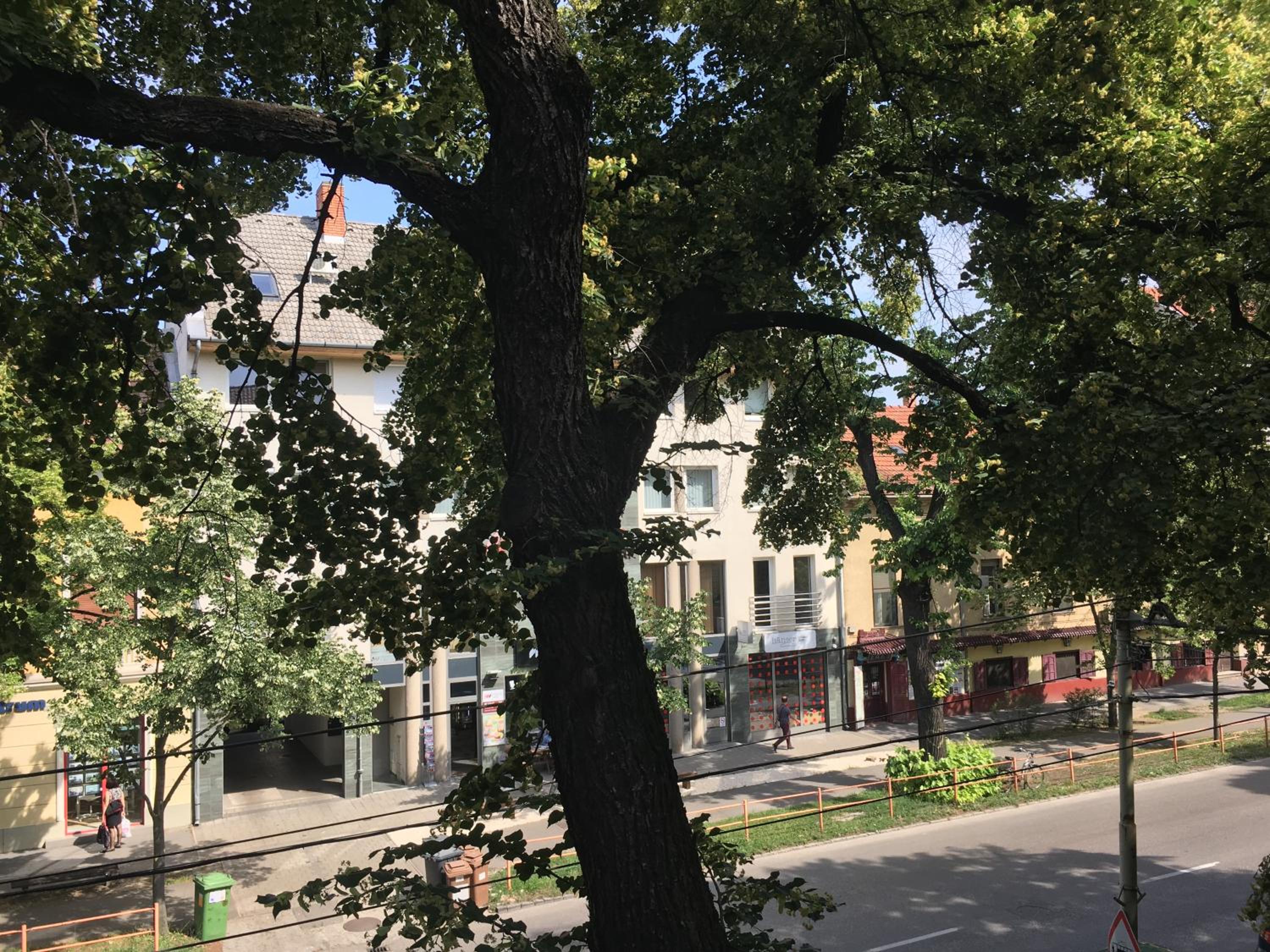 Gutenberg Apartments