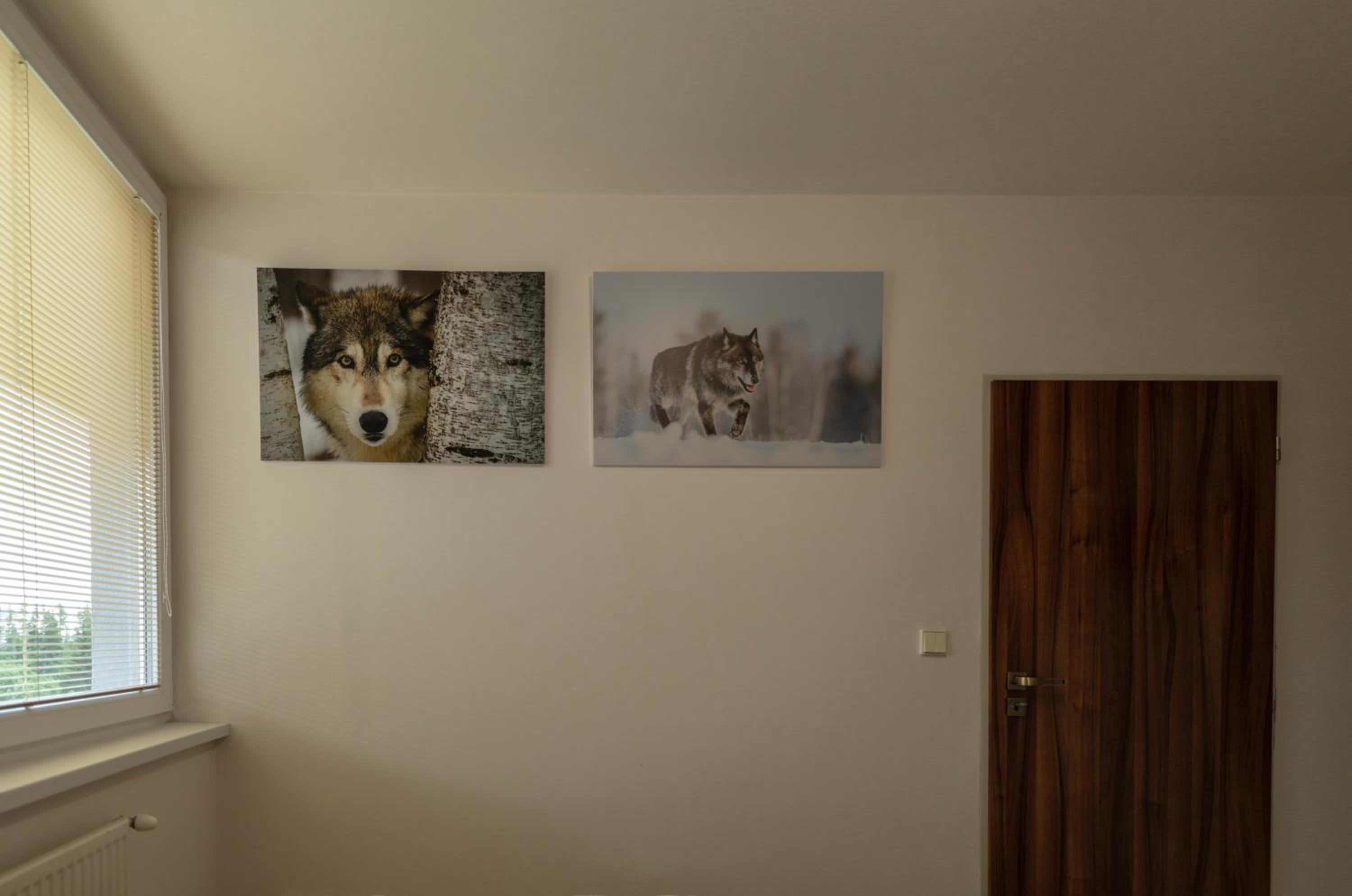 Photo 38