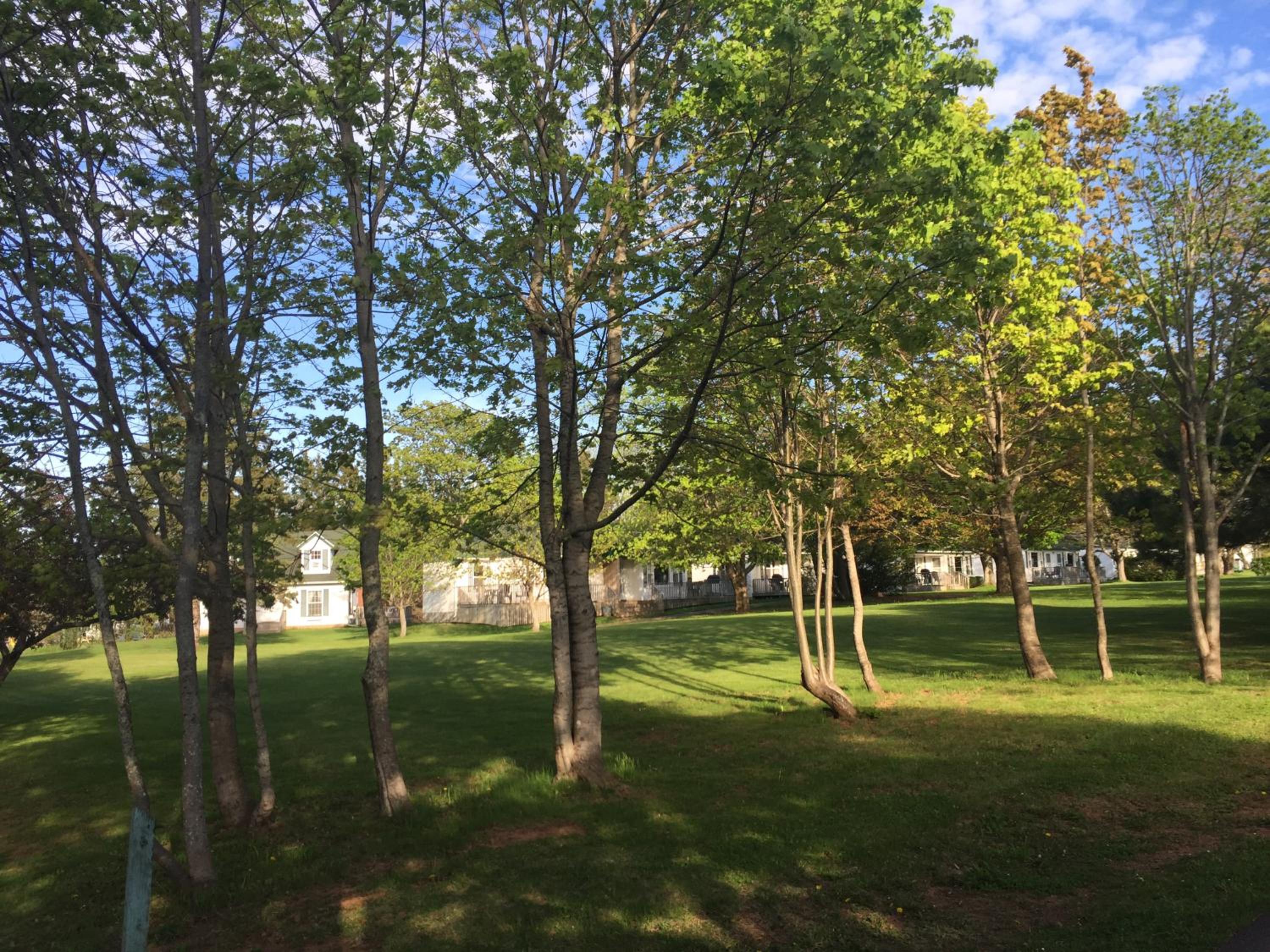 Lakeview Lodge and Cottages
