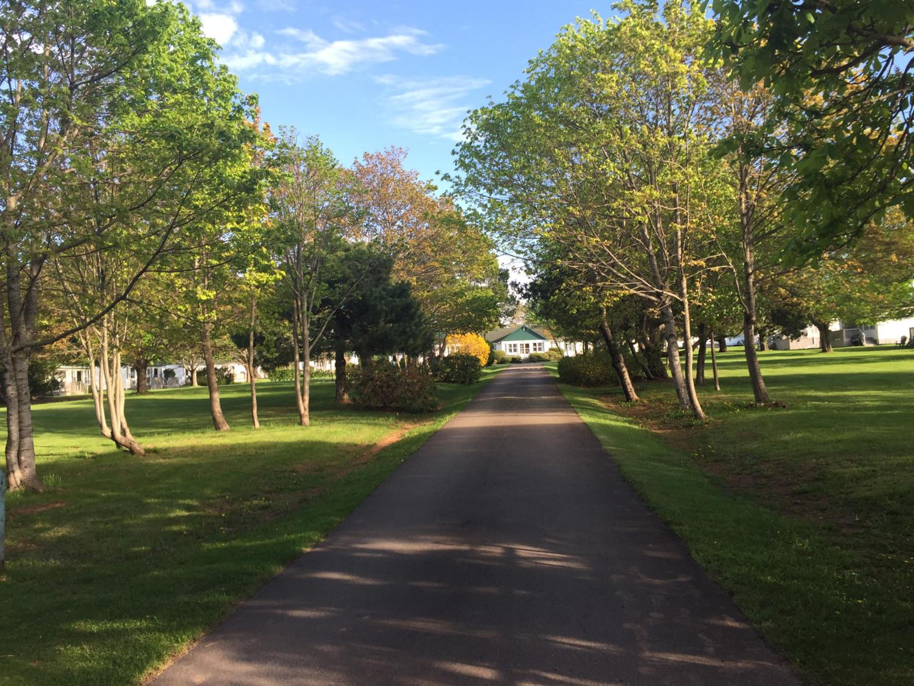 Lakeview Lodge and Cottages - Image 5