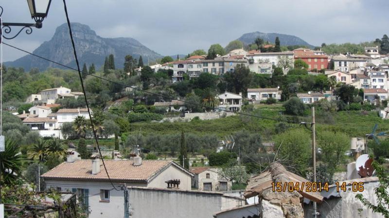 Photo 25