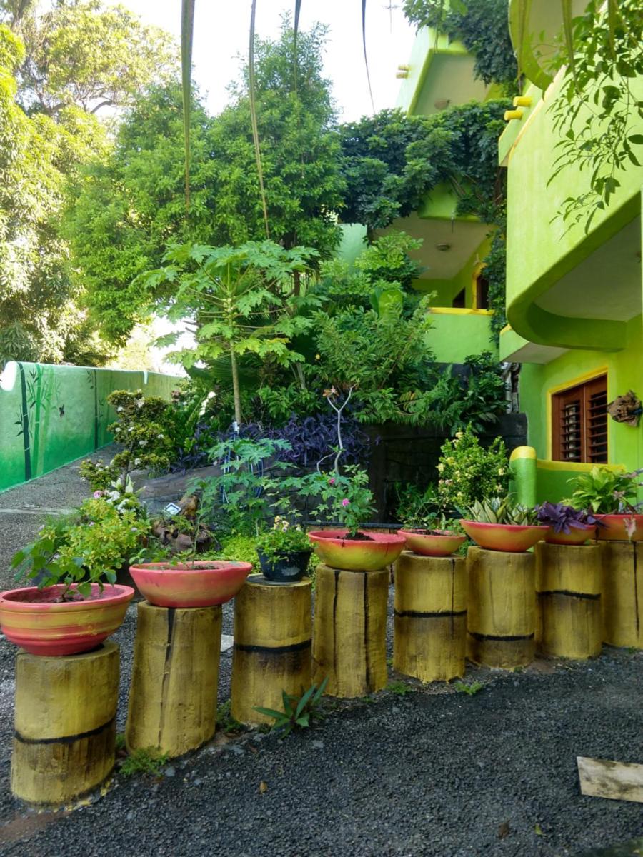garden