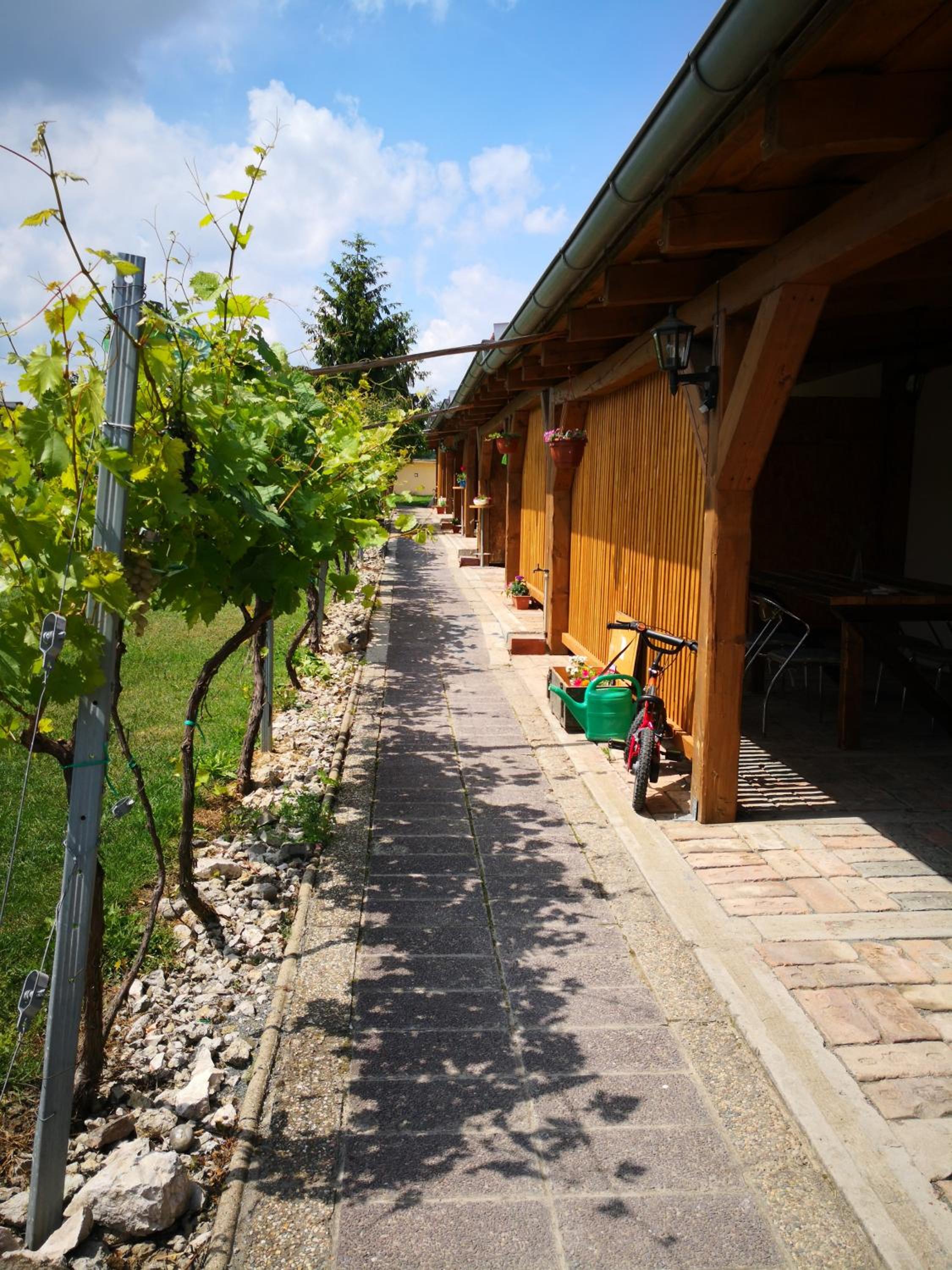 Photo 27
