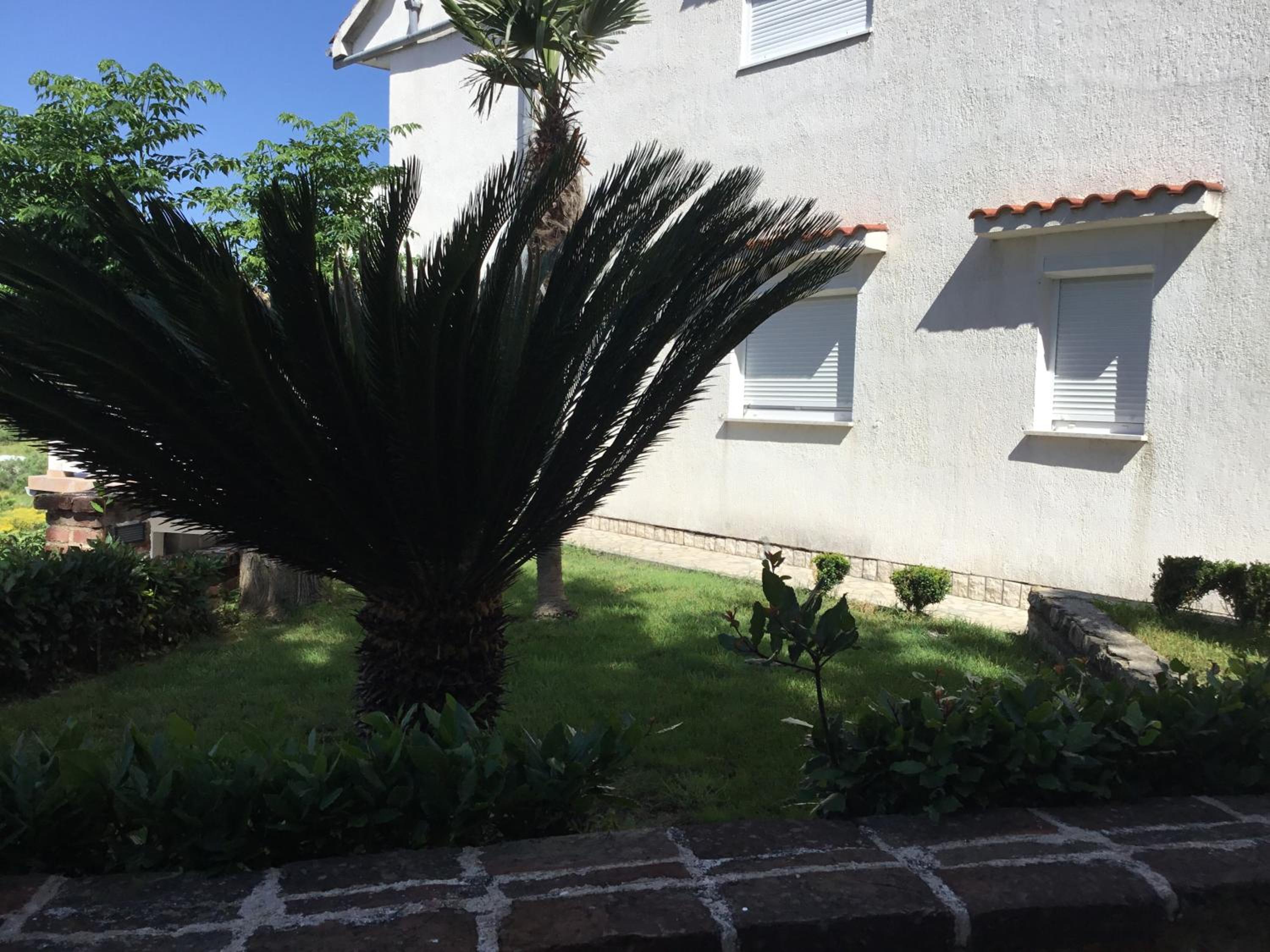 Photo 44