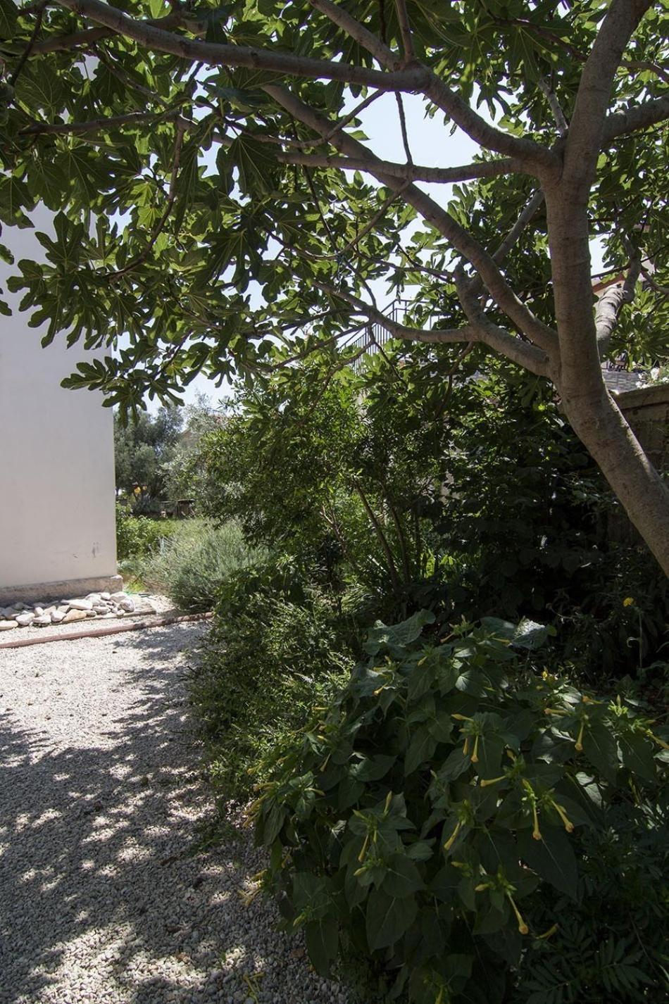 Apartman Iva