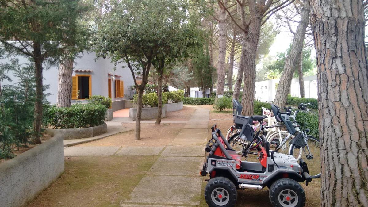 Photo 46