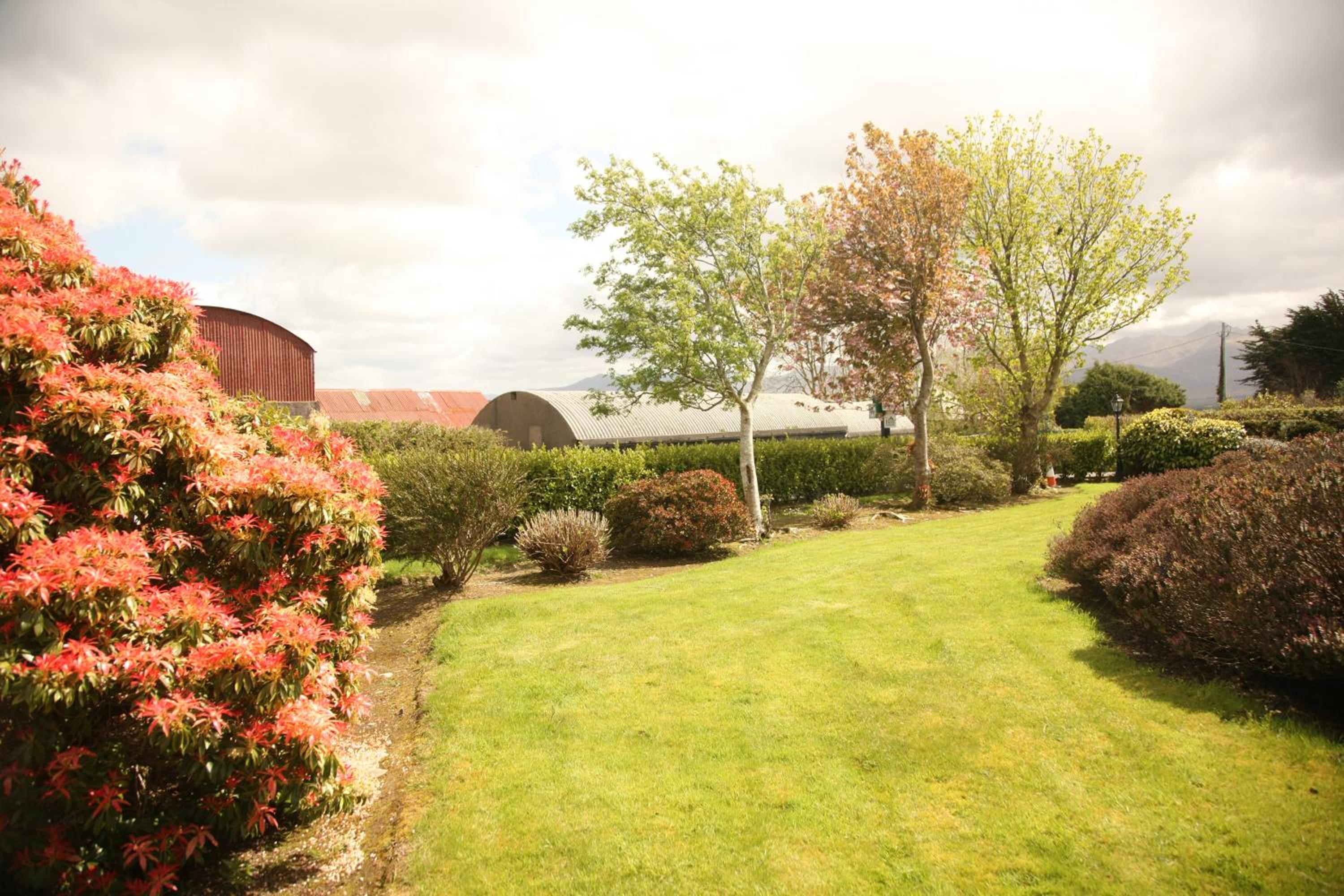 Torine House BB - Property Image 46