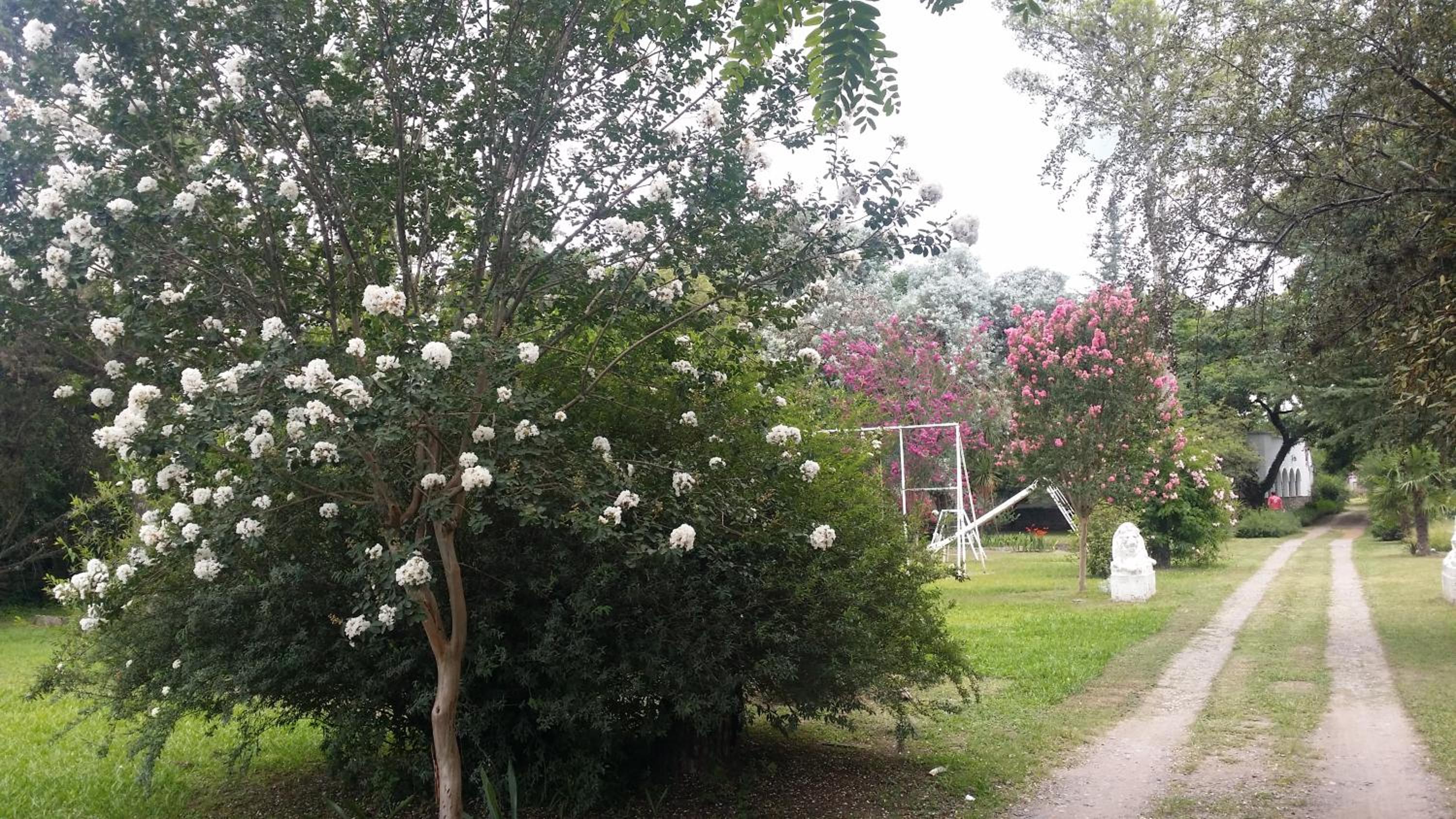 Quinta Valvanera
