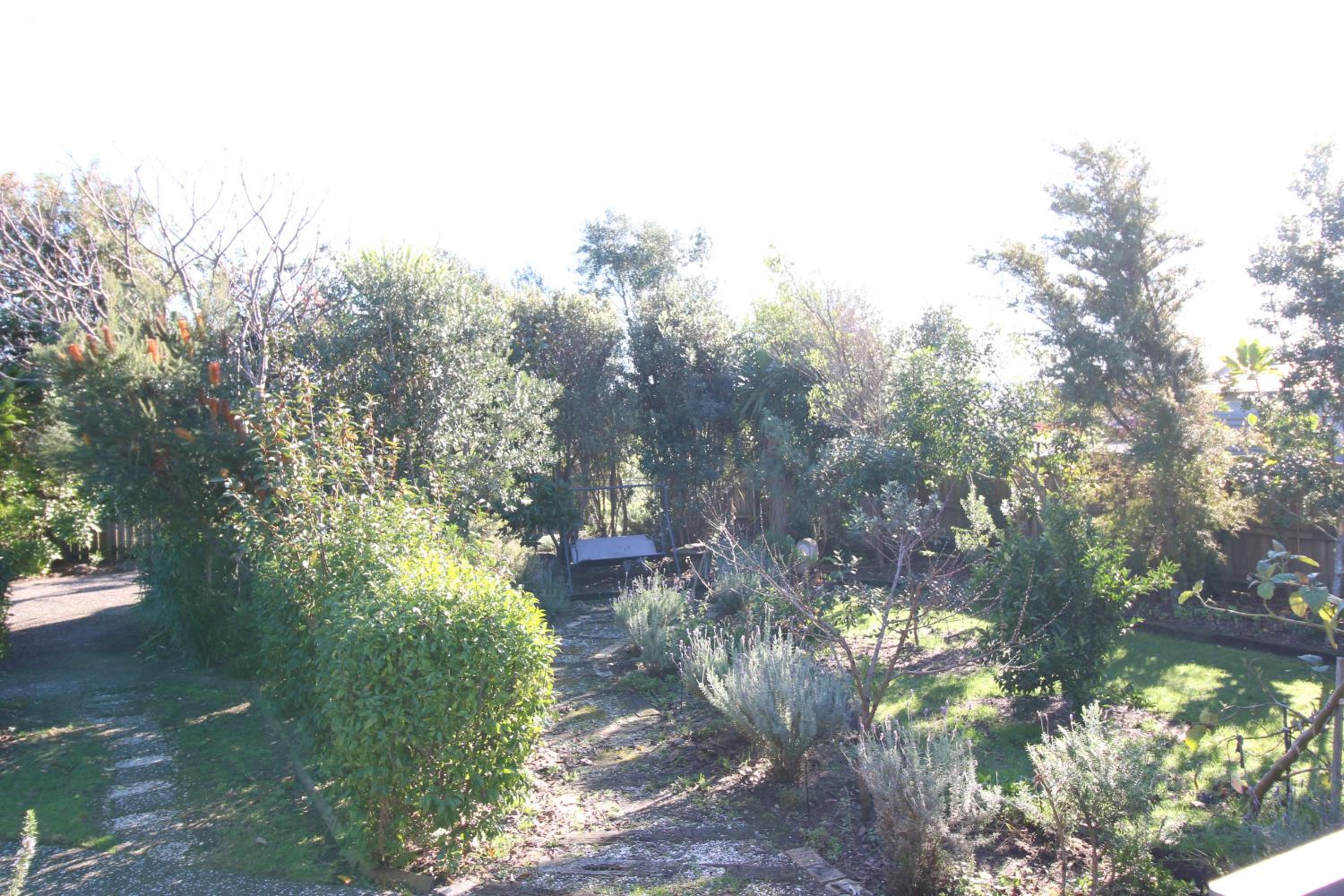 The Red Hen And Dog view 3