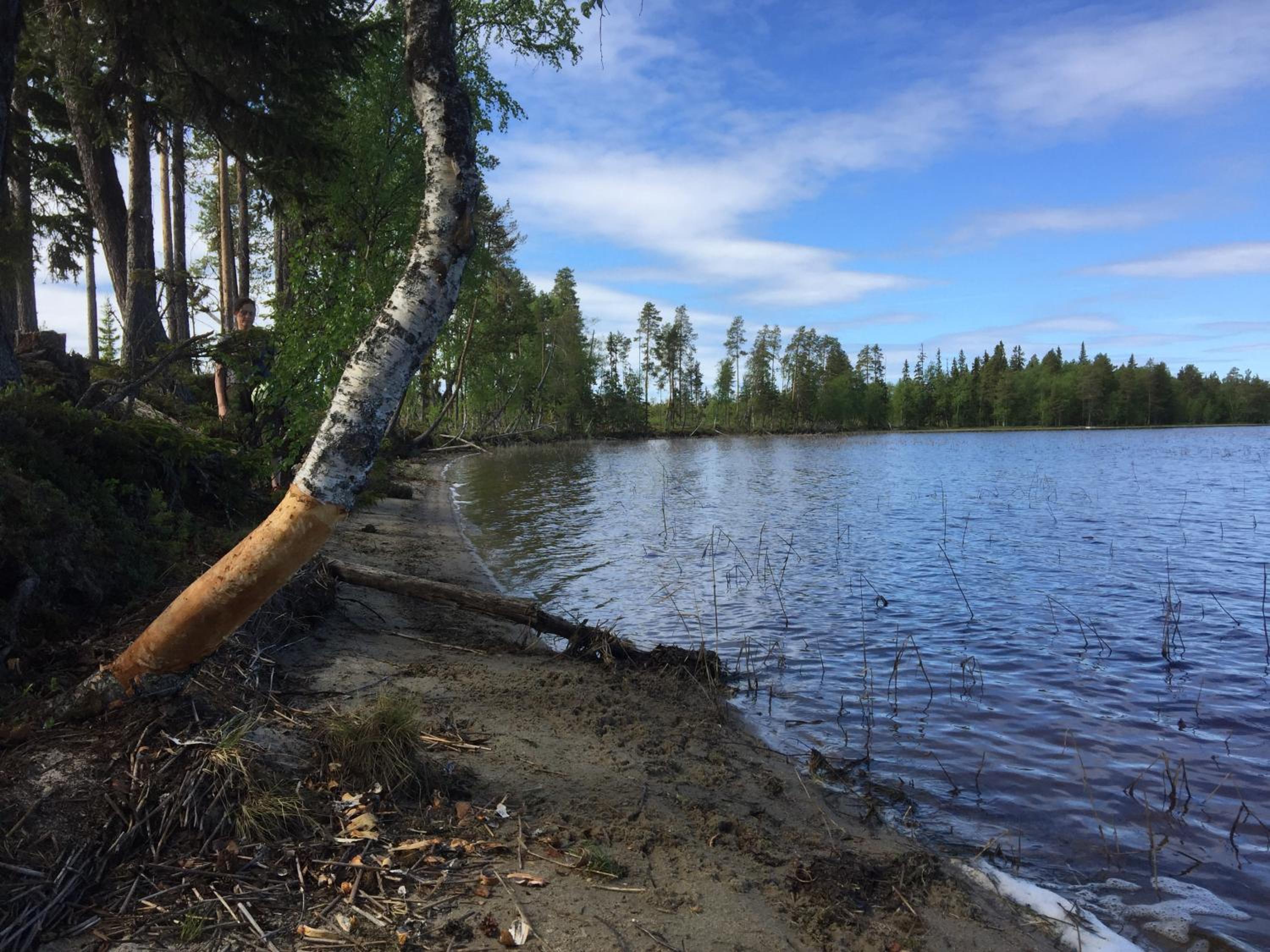 Gafsele Lappland Hostel view 3
