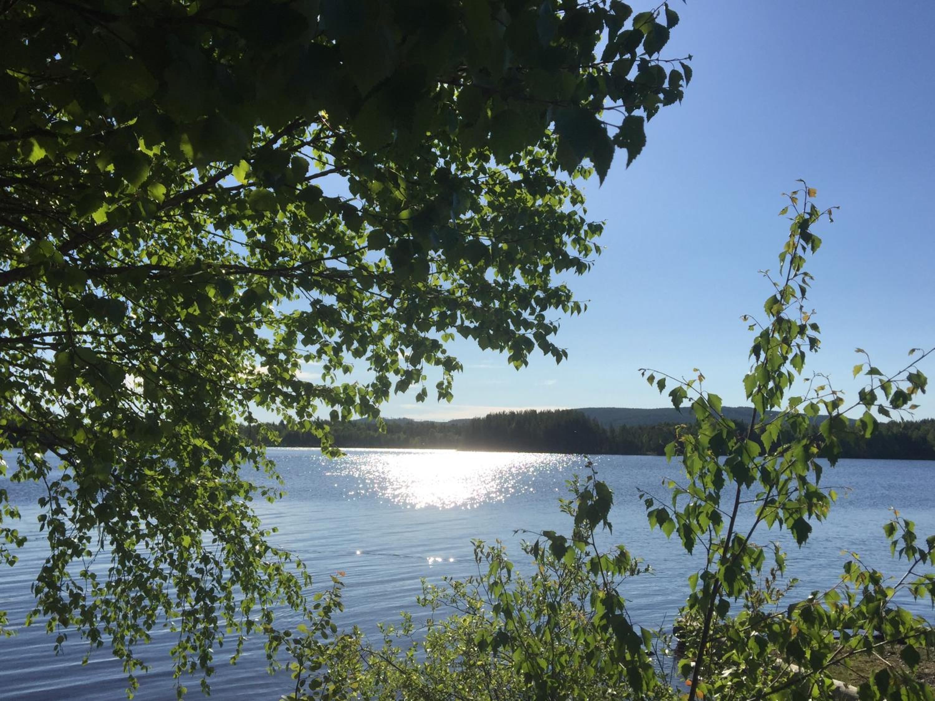 Gafsele Lappland Hostel view 5