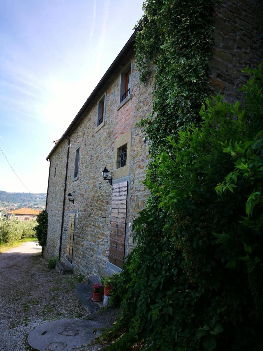 Photo 41
