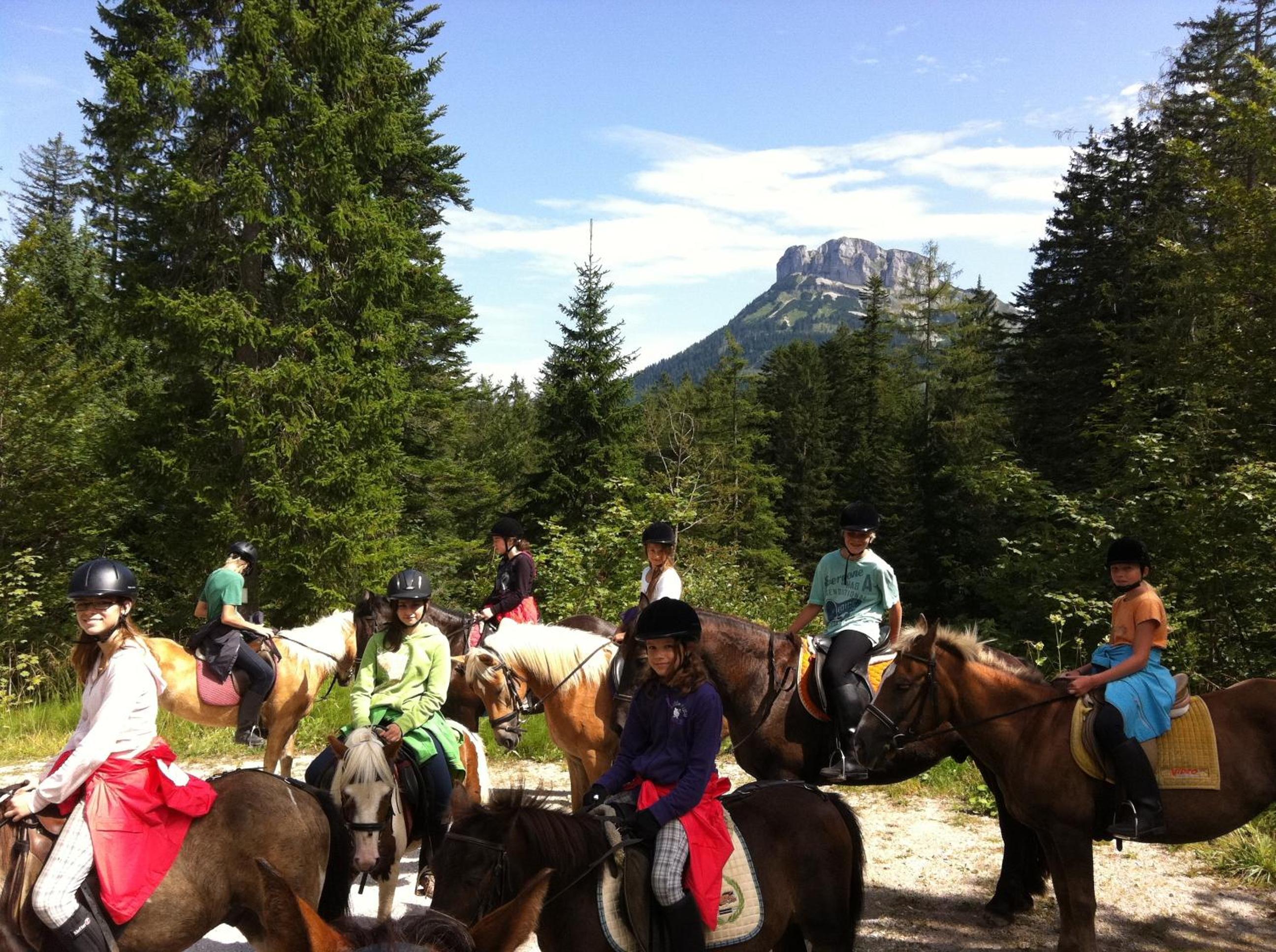Reitbauernhof Schartner