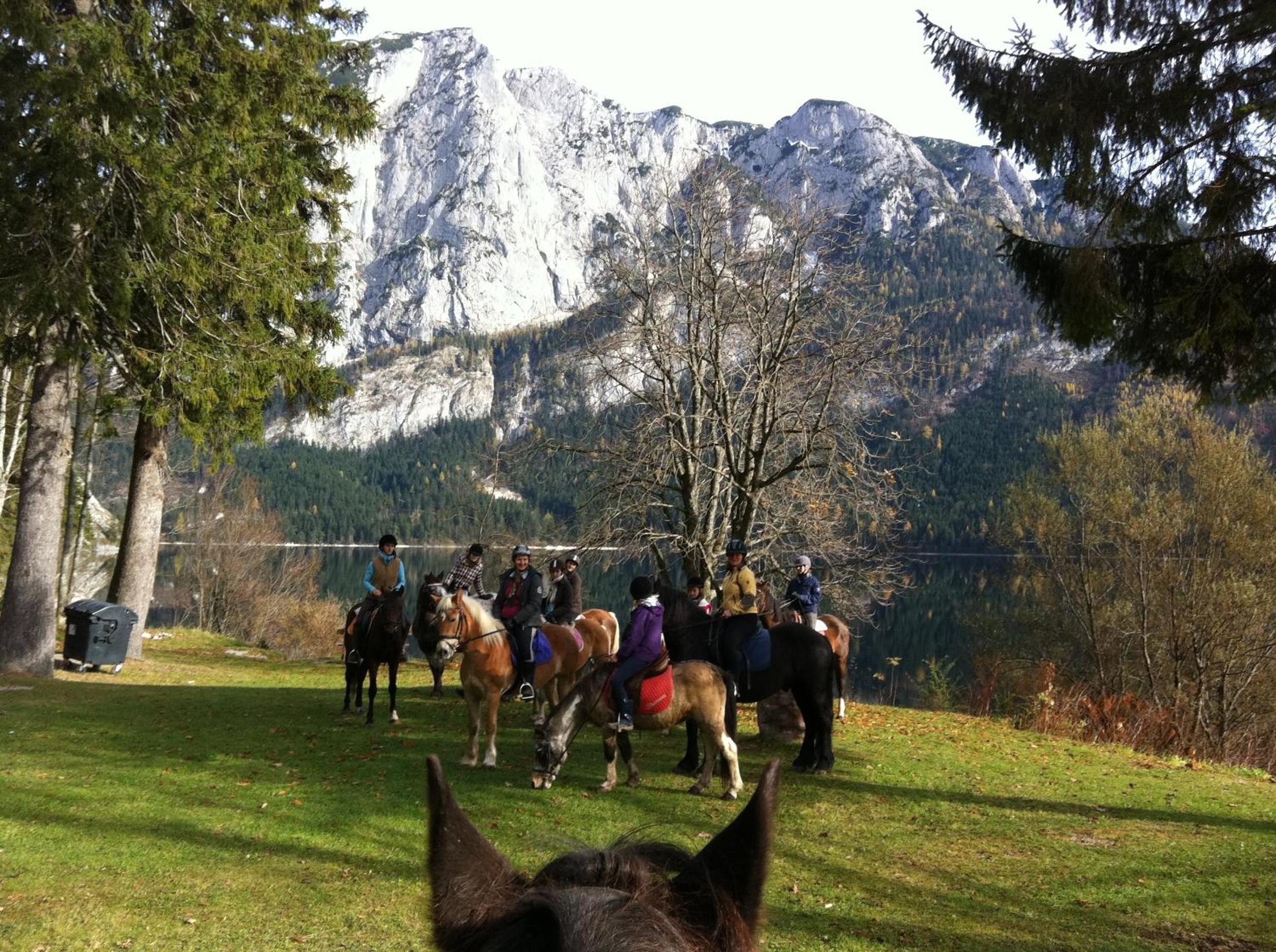 Reitbauernhof Schartner