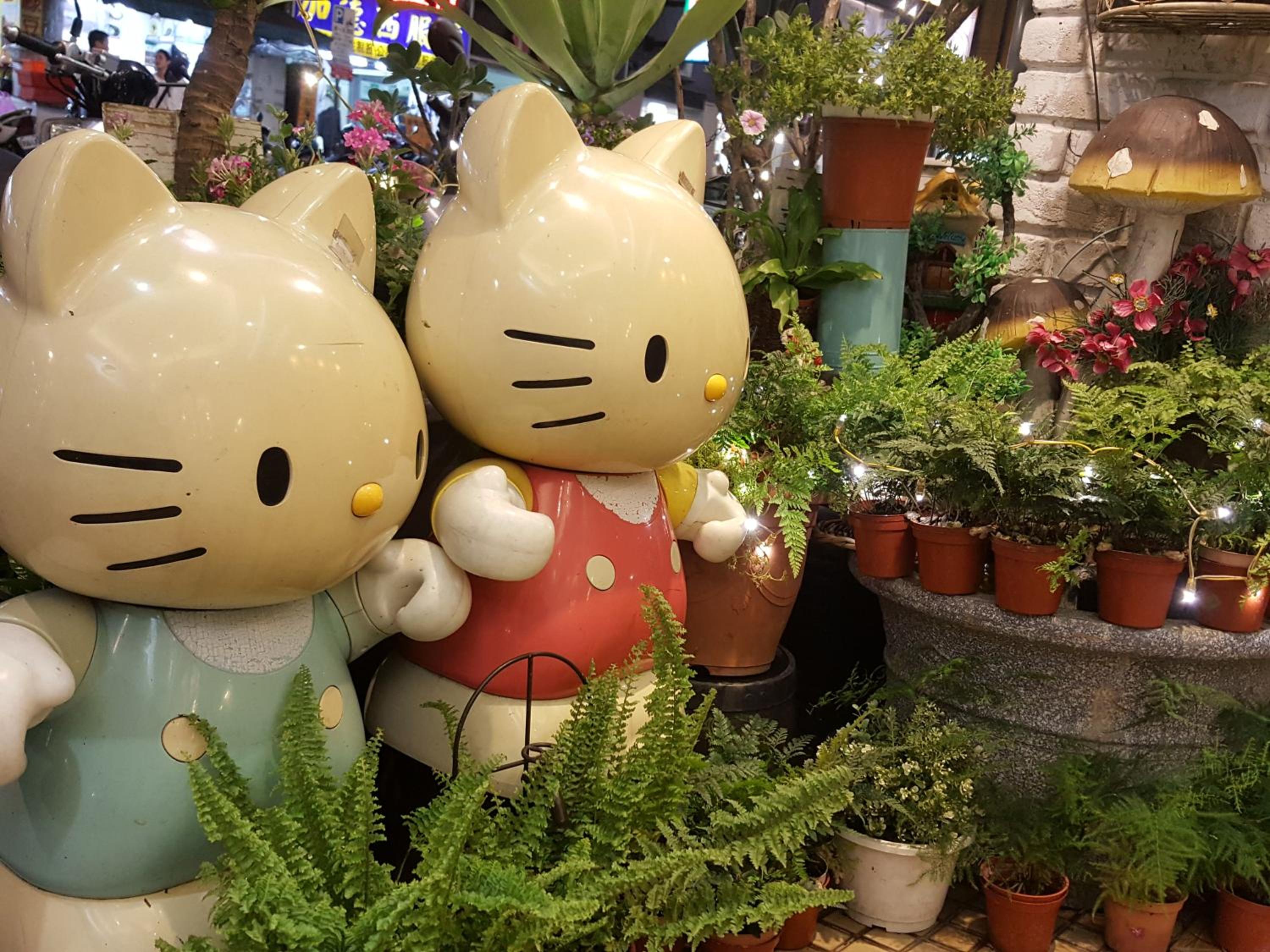橙舍一館 TW Hostel I