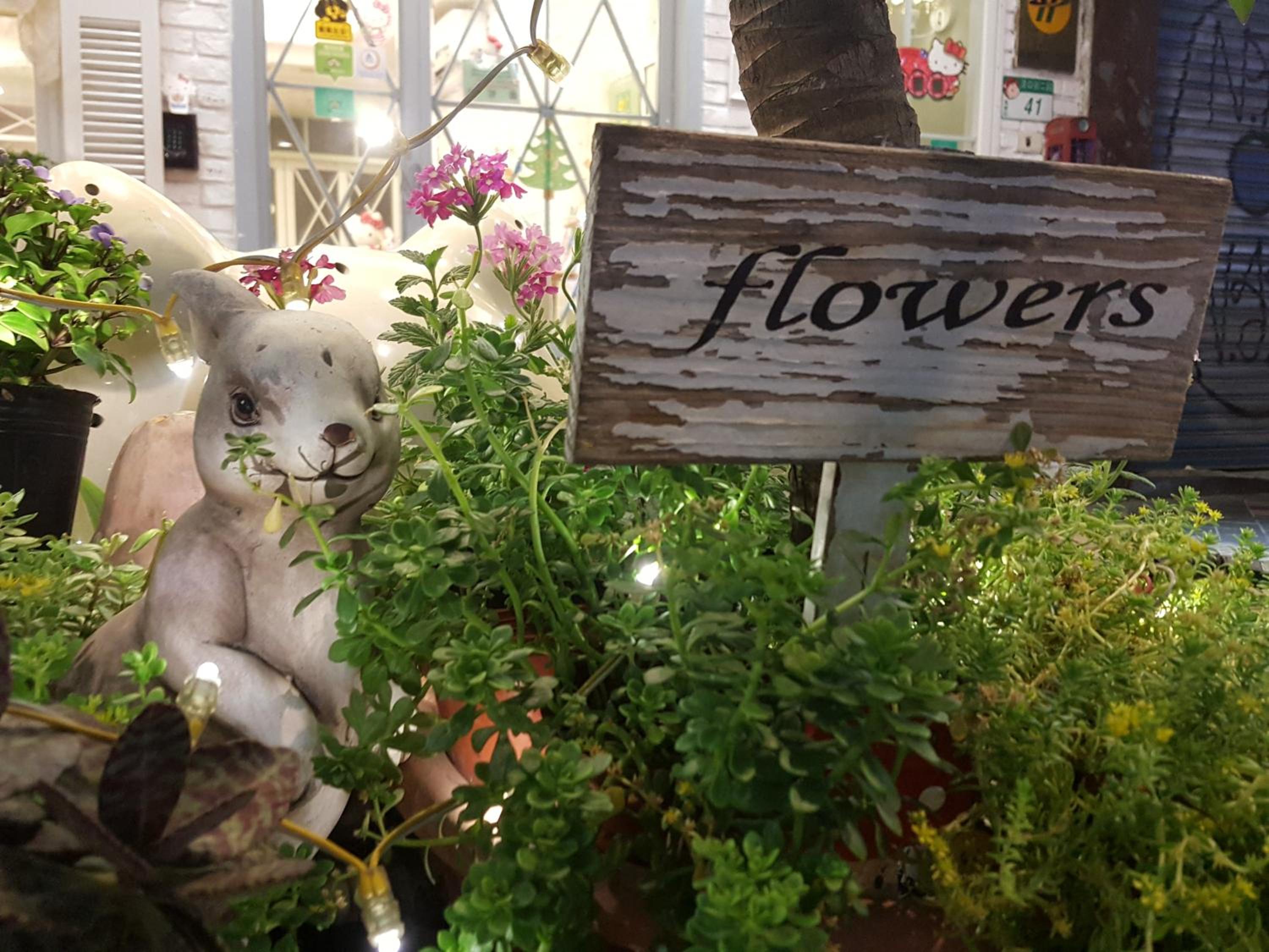 橙舍一館 TW Hostel I