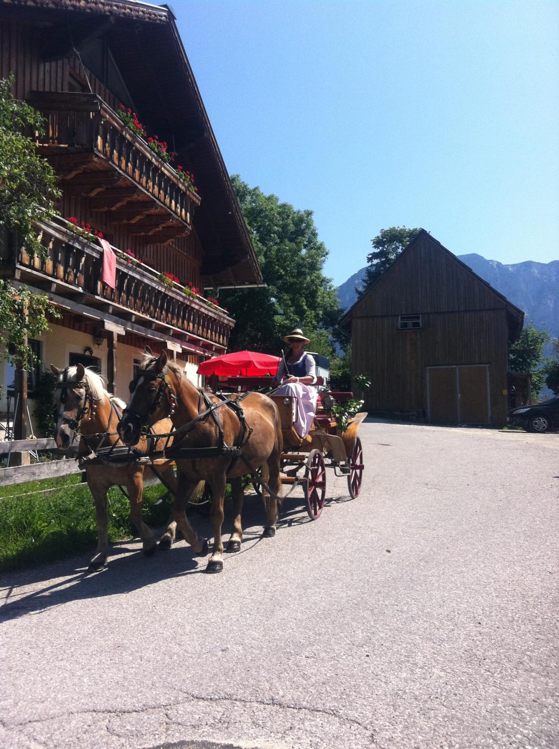 Reitbauernhof Schartner