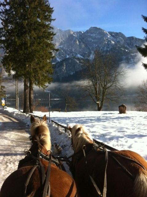 Reitbauernhof Schartner