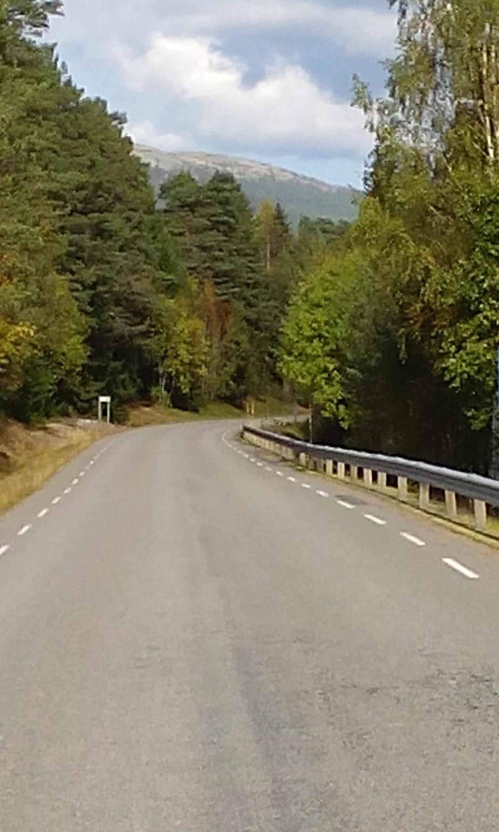 Sälens Vandrarhem i Gräsheden
