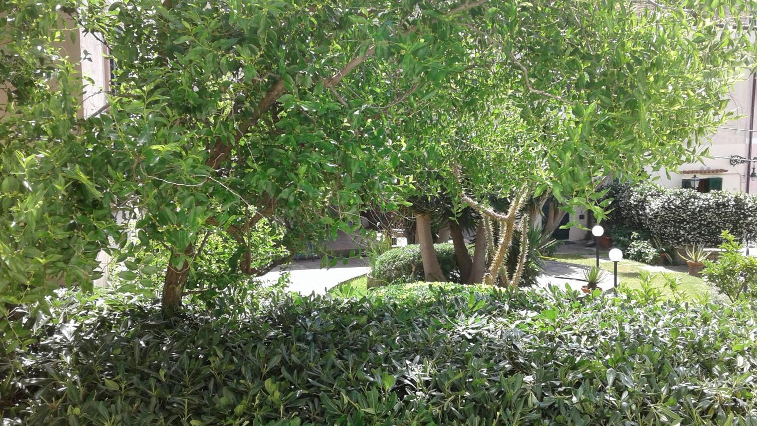Photo 25