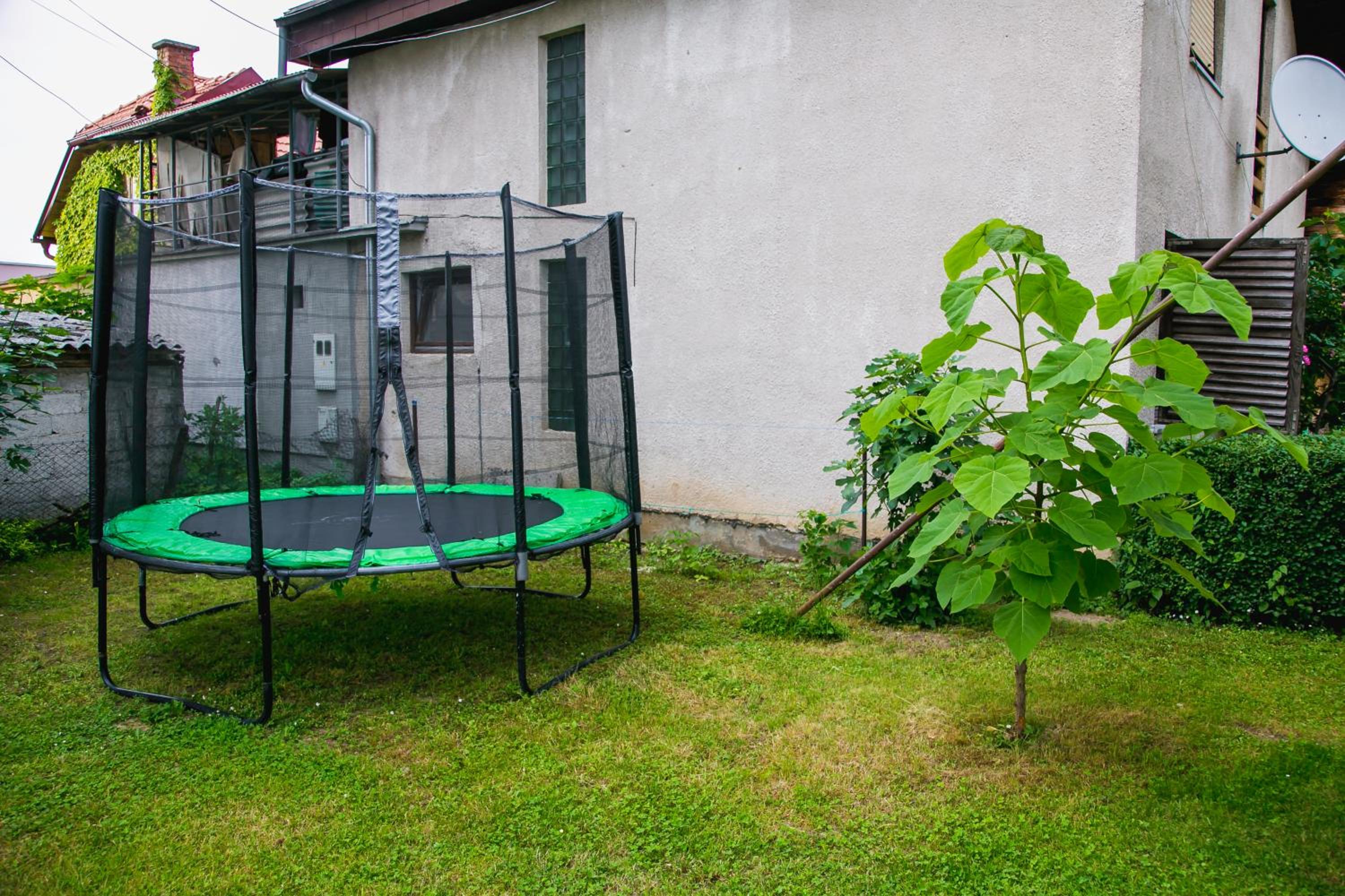 Photo 24