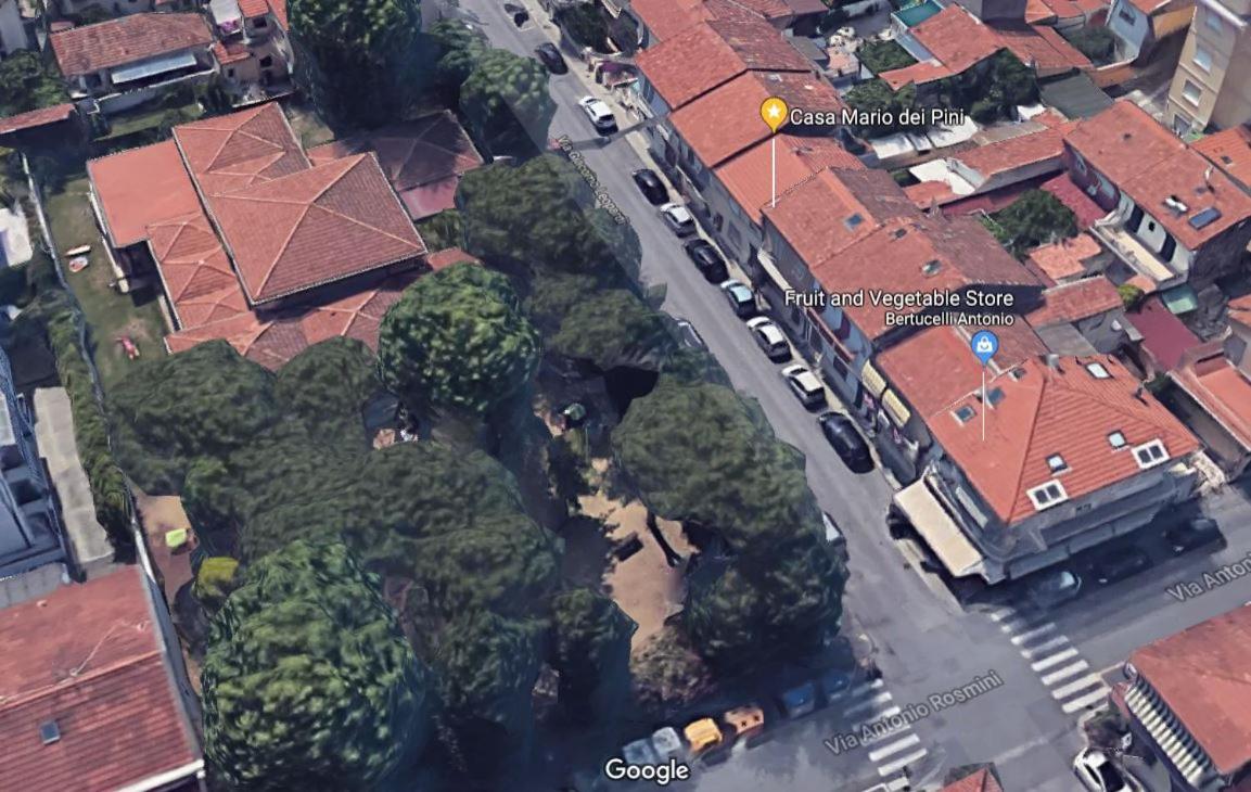 Hotel Casa Mario dei Pini - Image 1