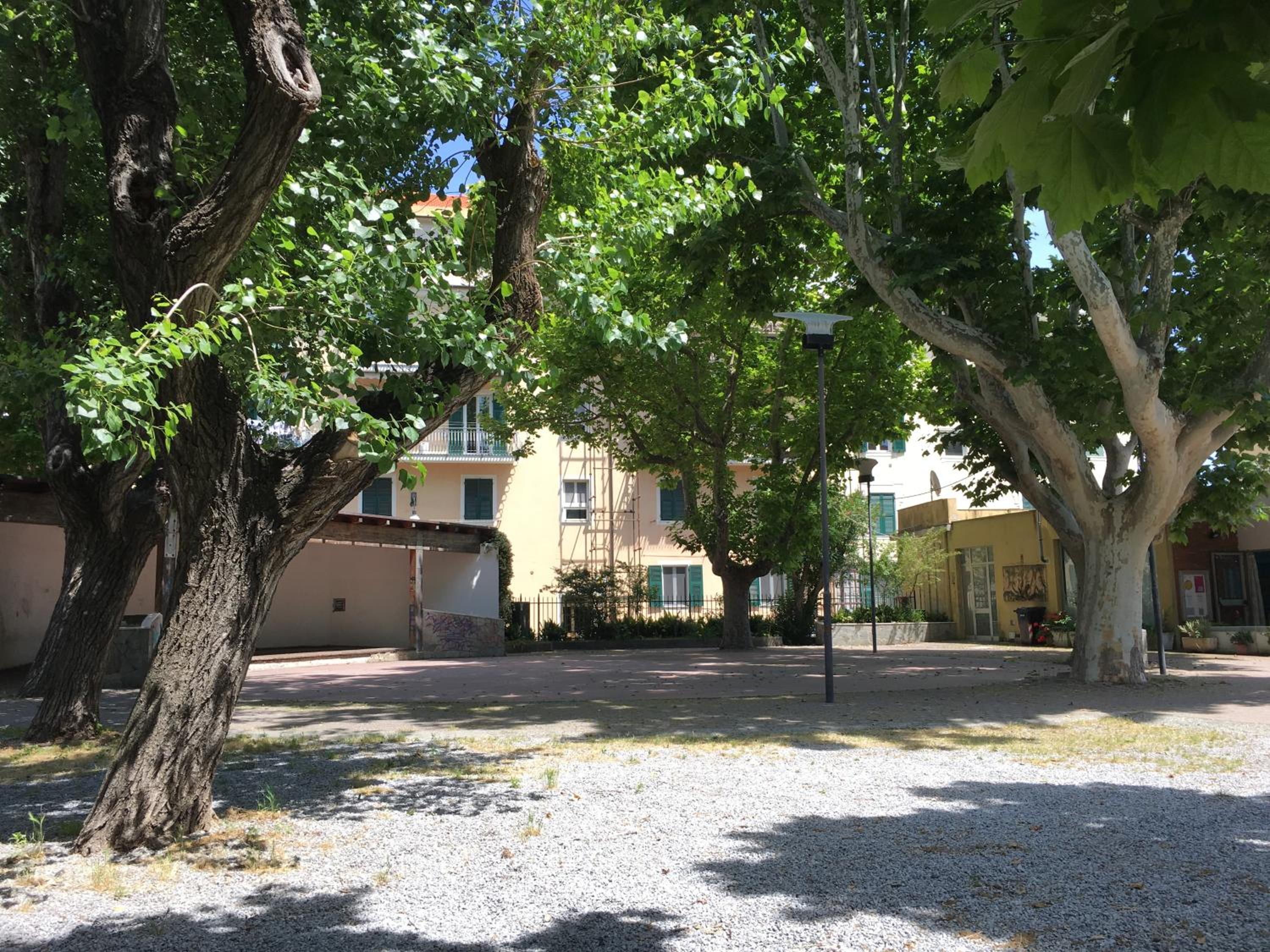 Photo 16