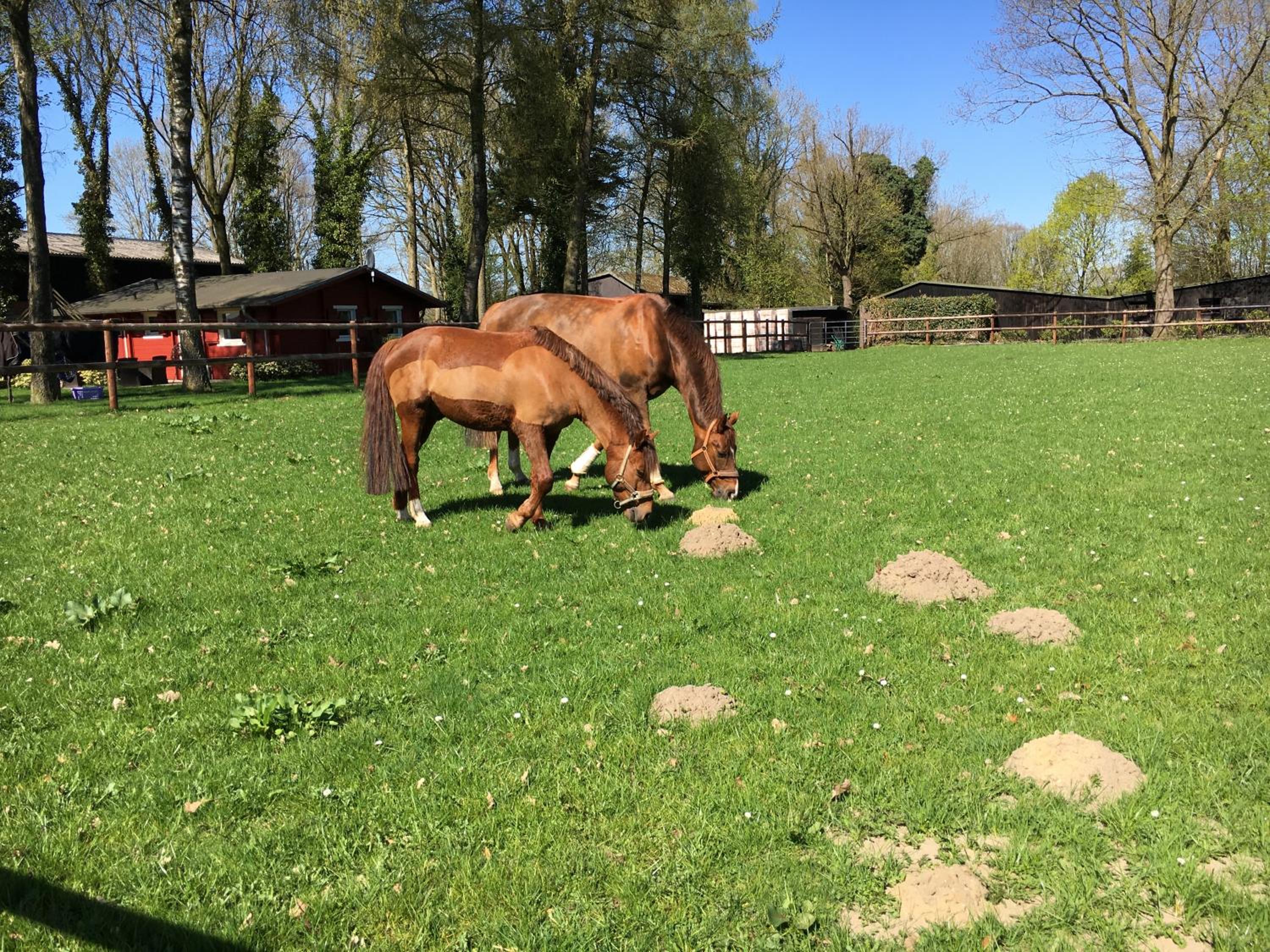Huck’s Ferienhäuser