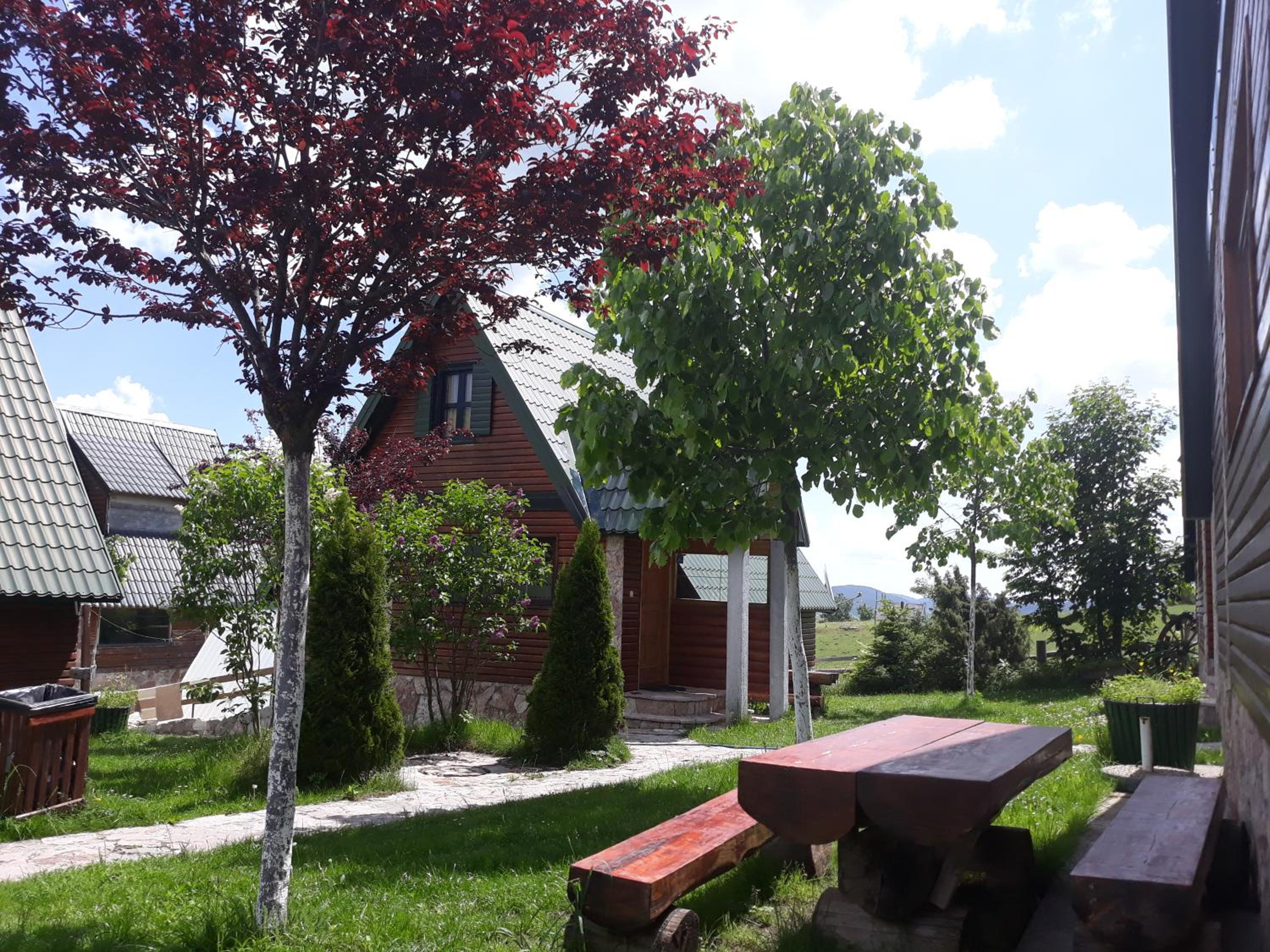 Photo 8