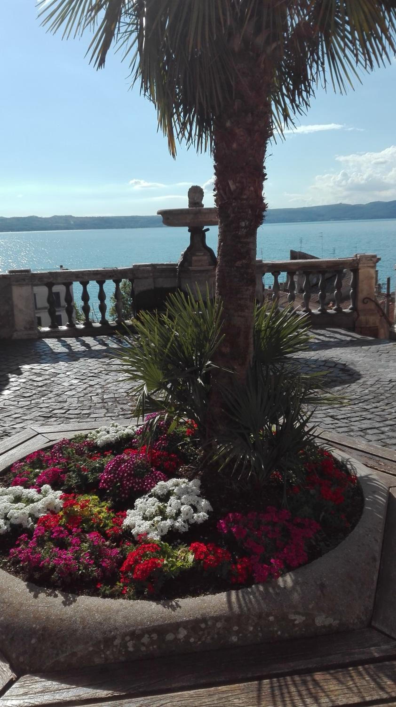 La Torretta del Lago view 5