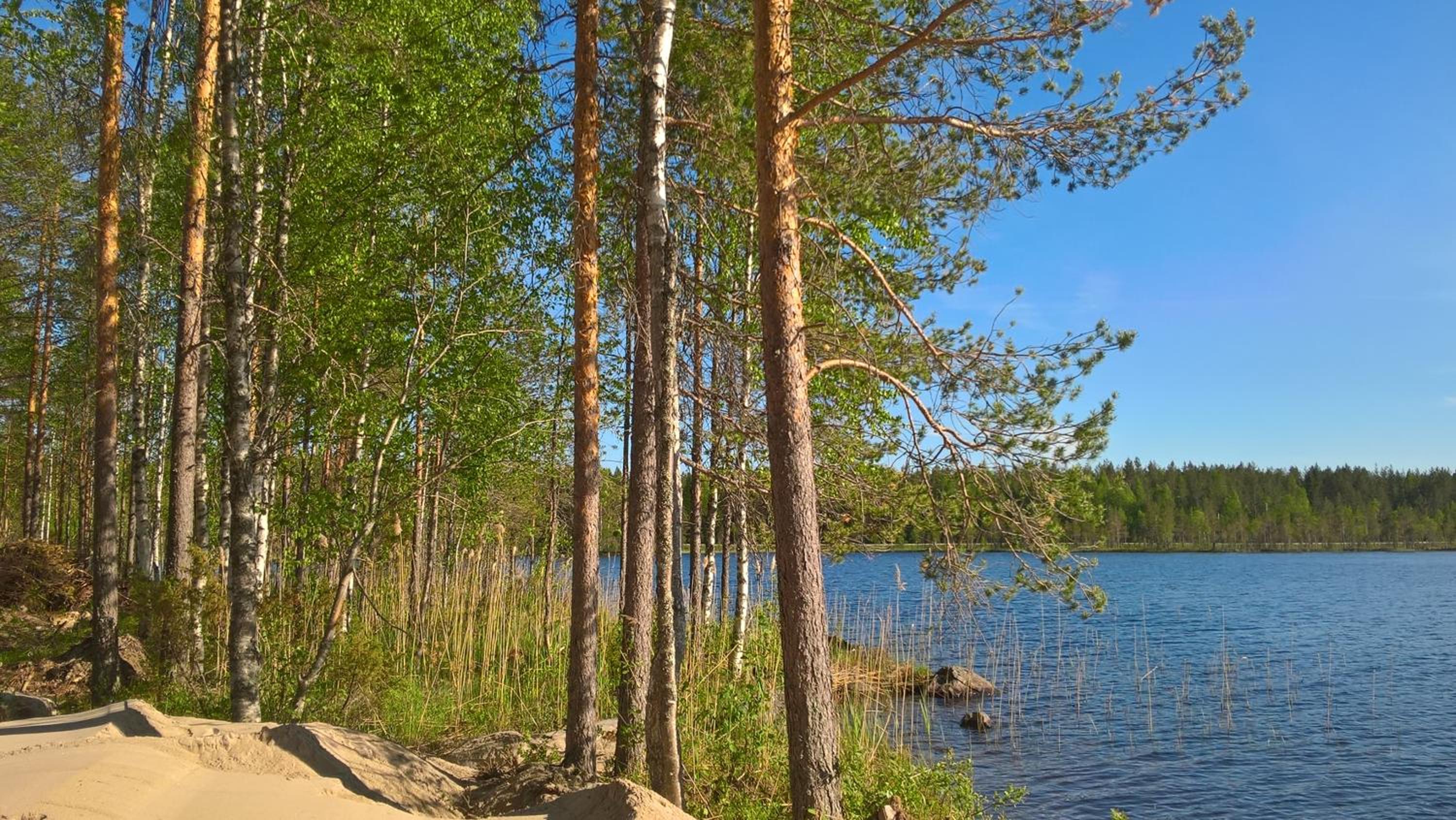 Lake Cottage Koivuniemi