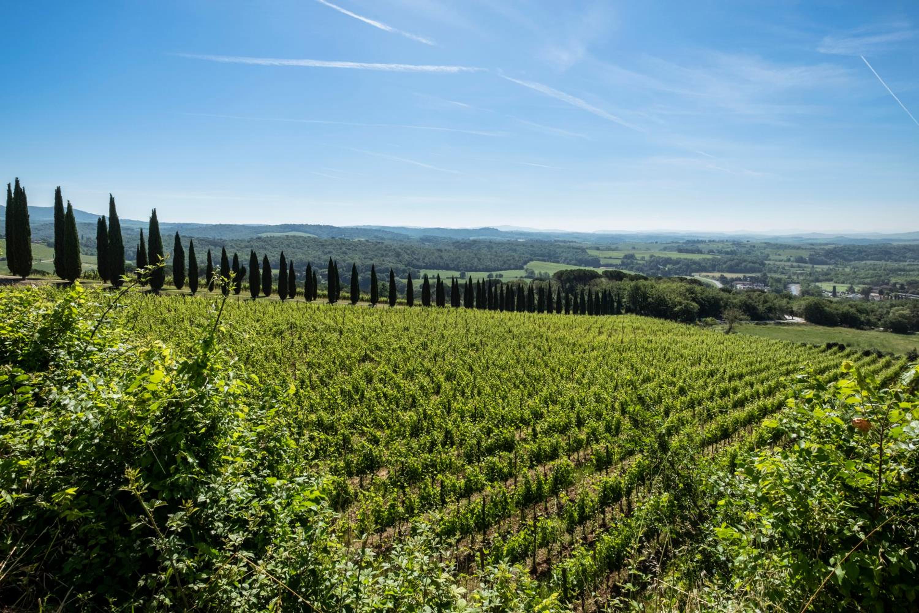 Borgo Argiano