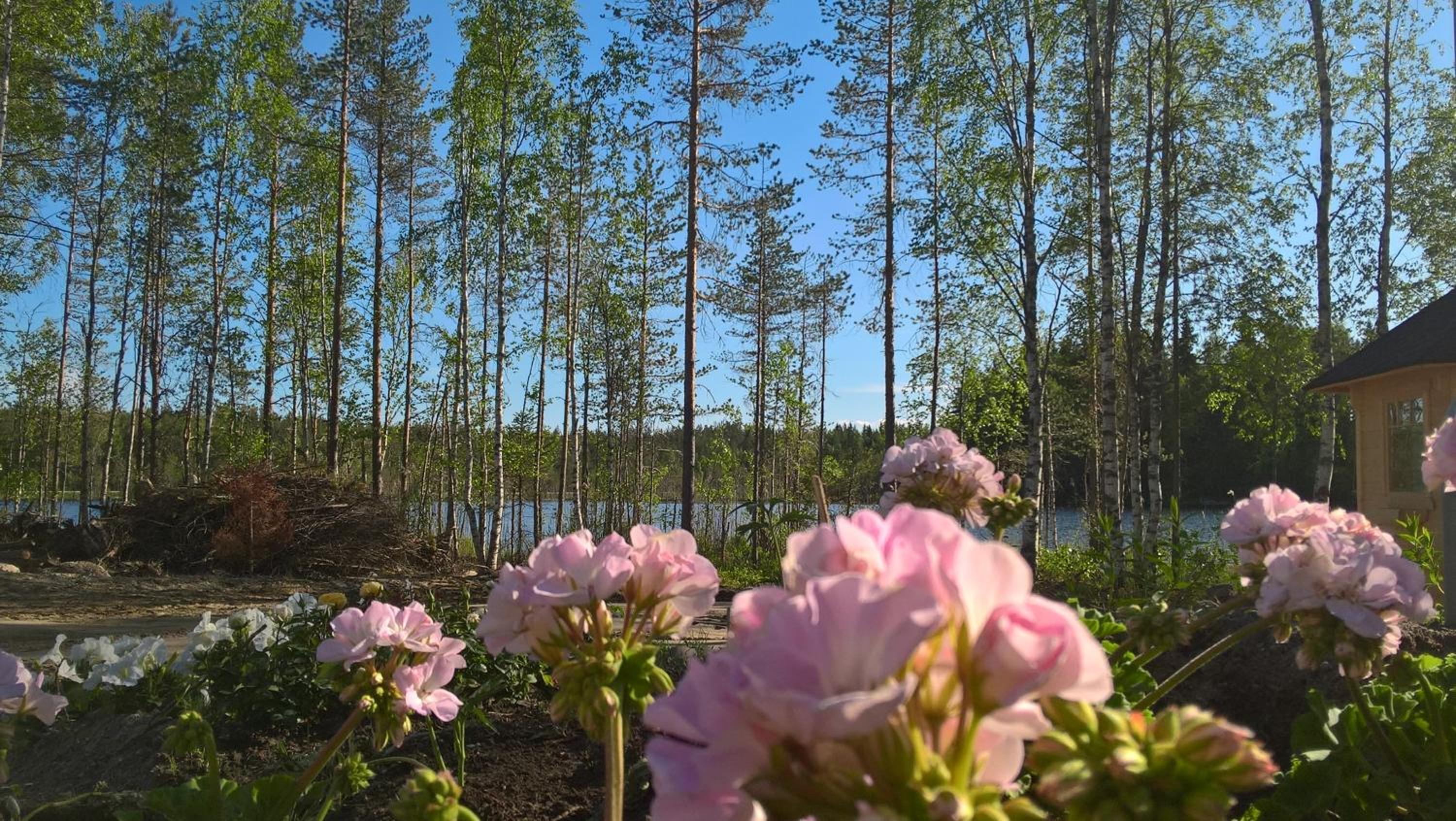 Lake Cottage Koivuniemi