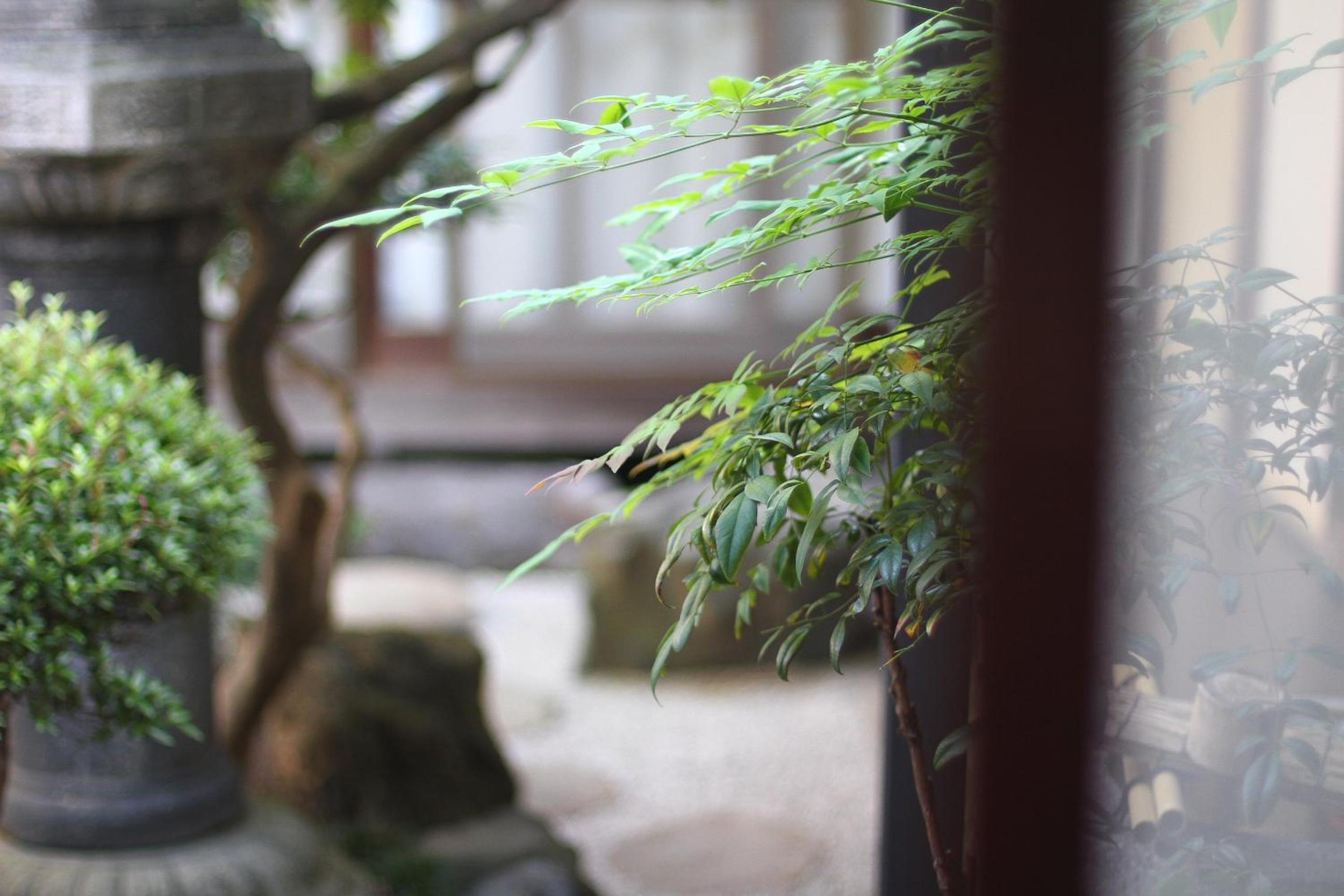 Guesthouse KYOTO COMPASS