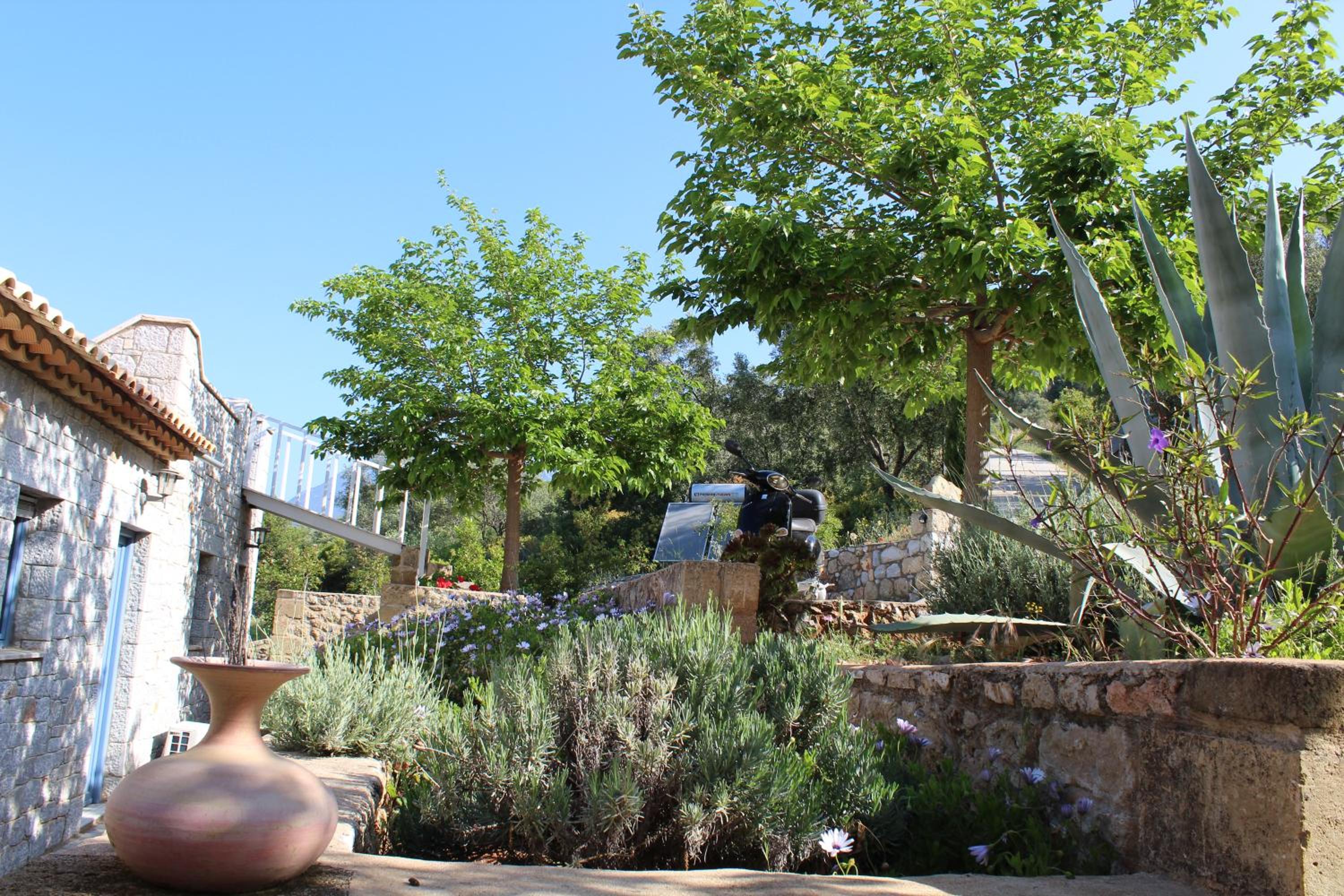 Photo 49
