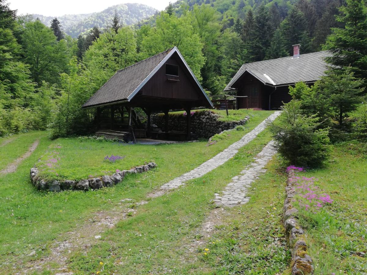 Photo 8