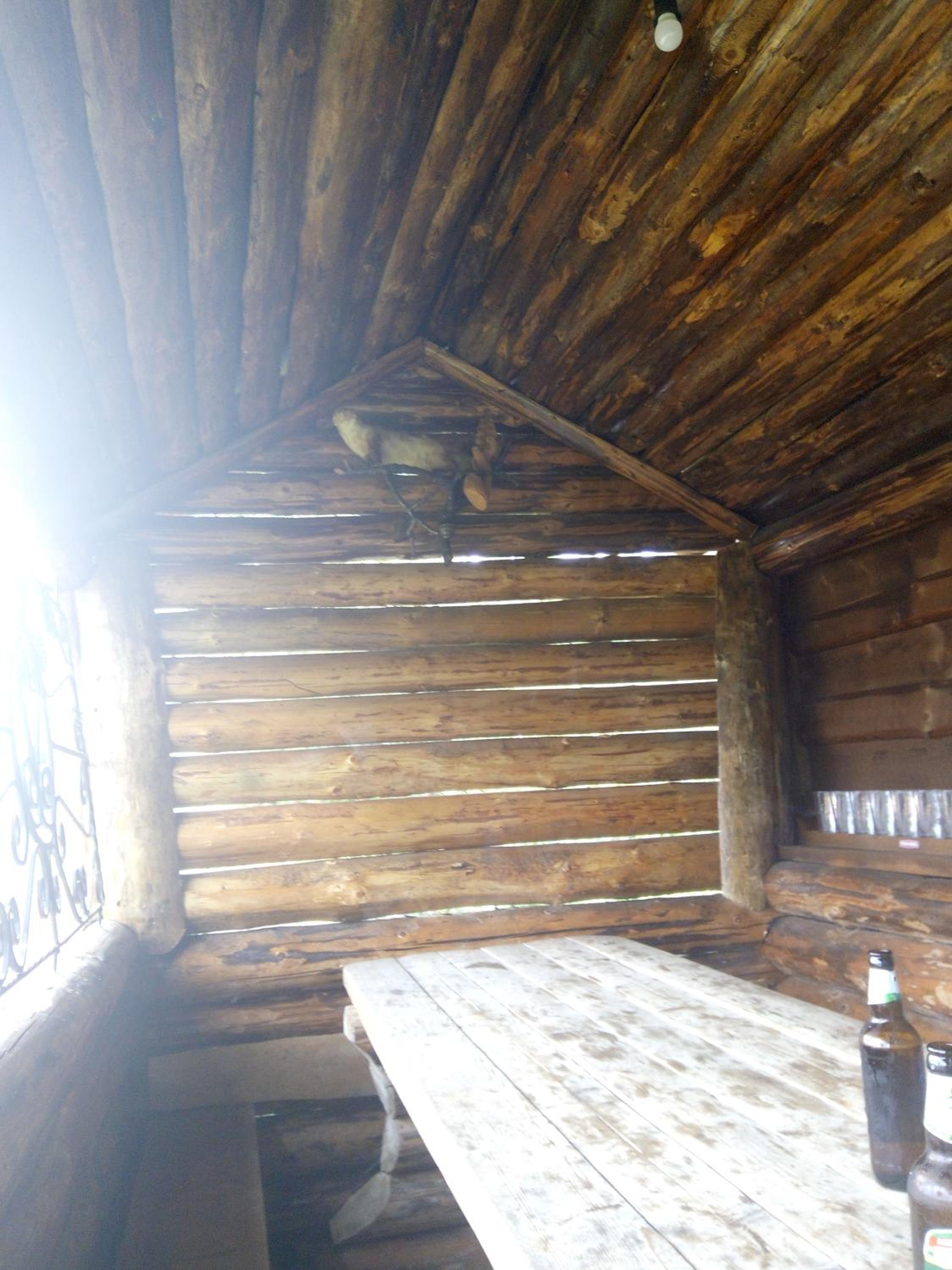 Photo 104