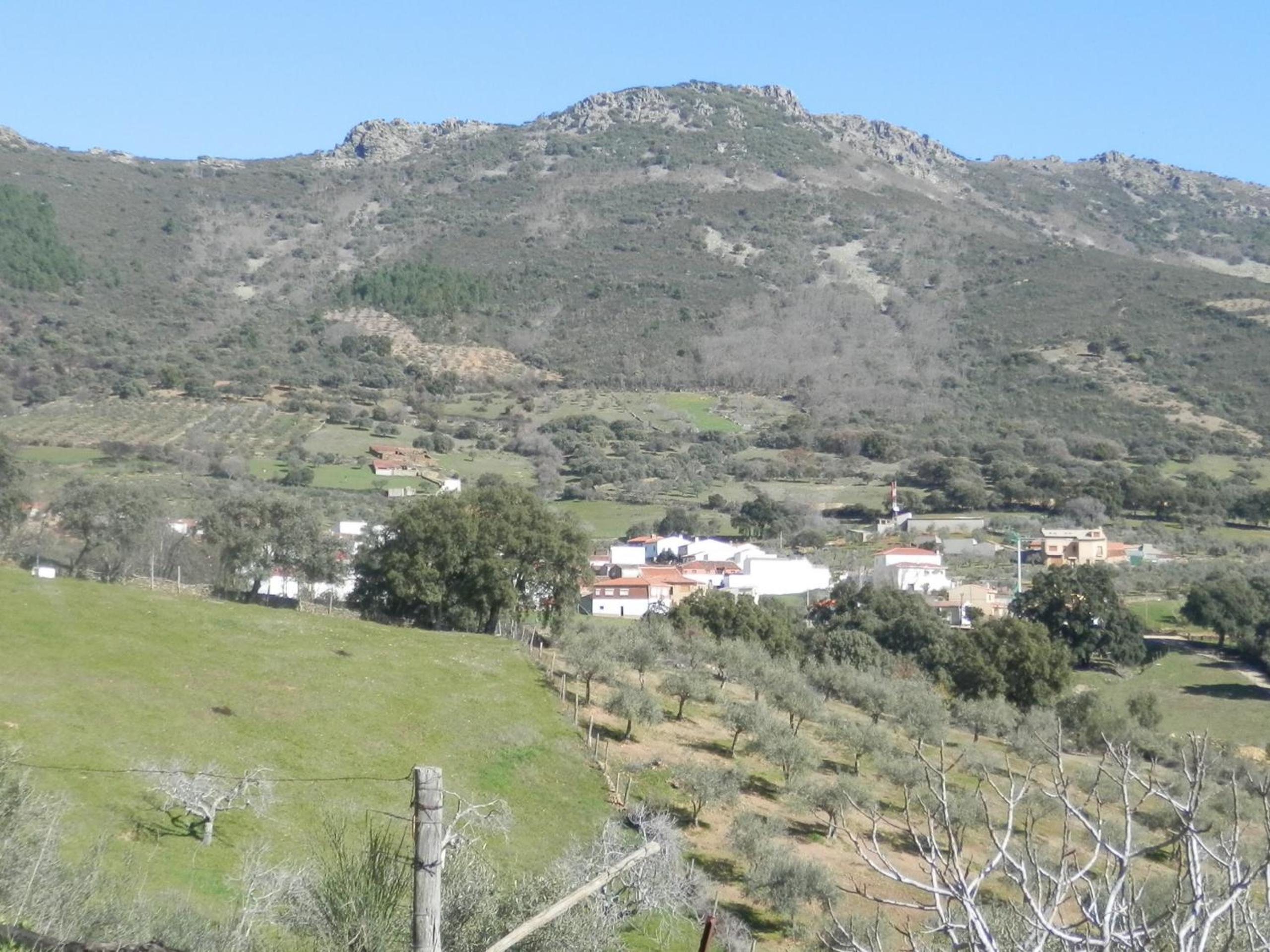 Photo 24